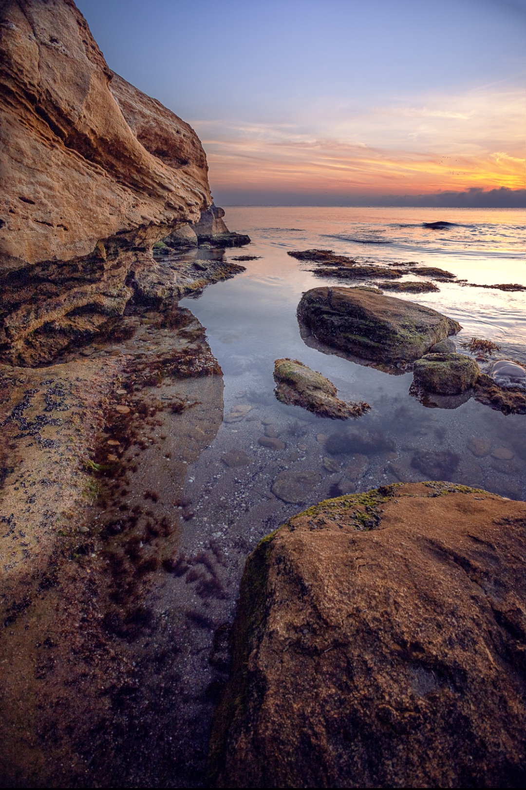 , Бобчева Веселина