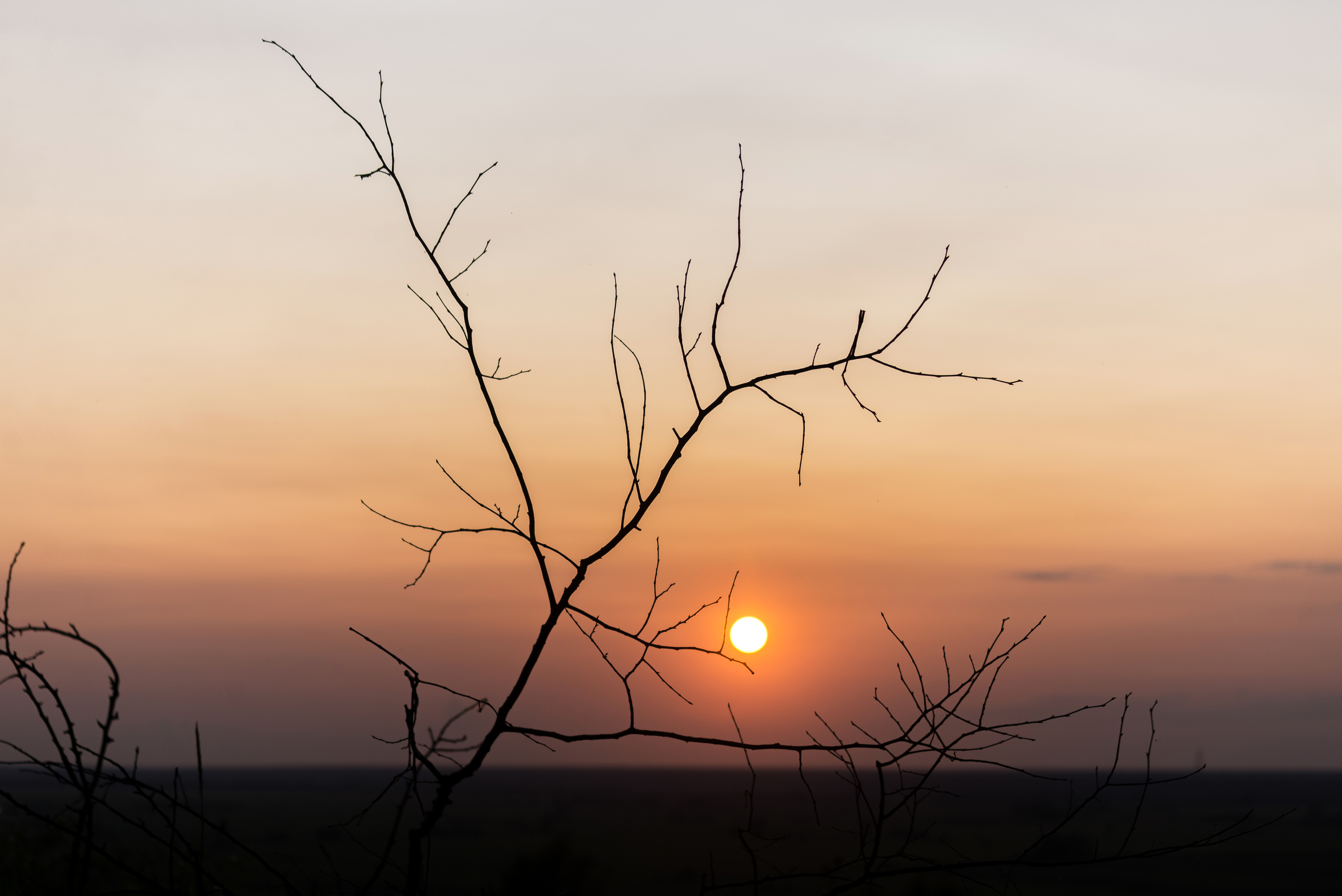 , Мария Чепрасова
