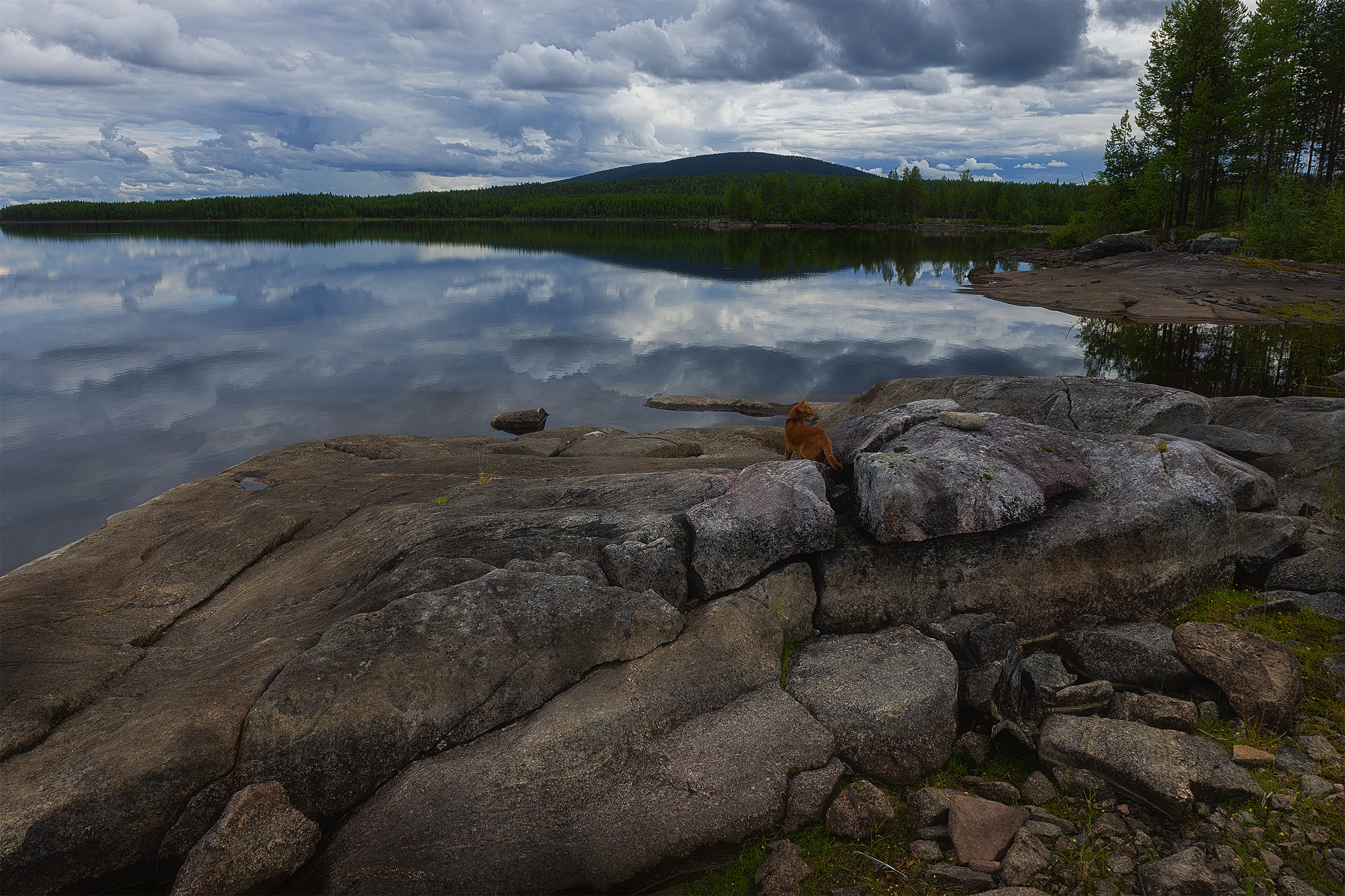 , Елена Михайлова