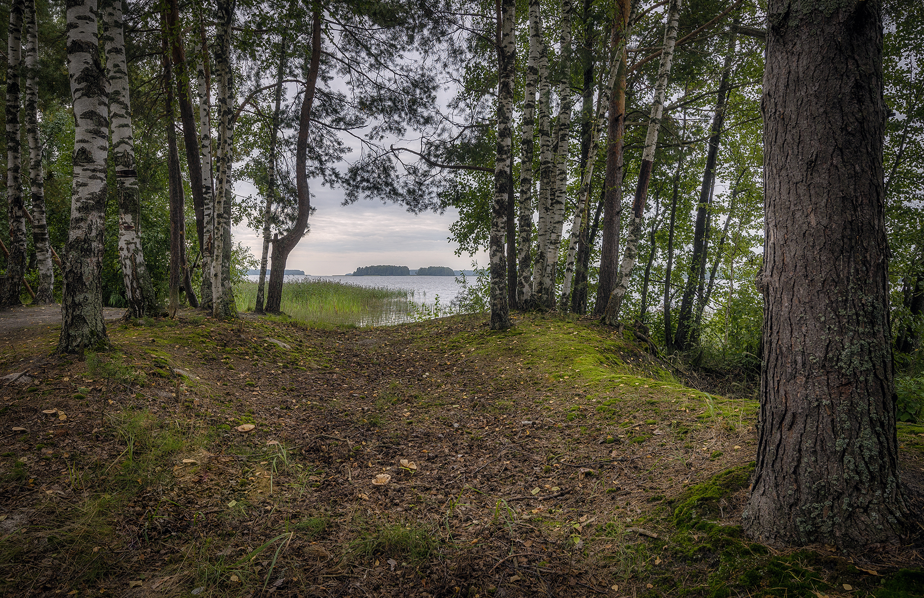 , Сергей Аникин