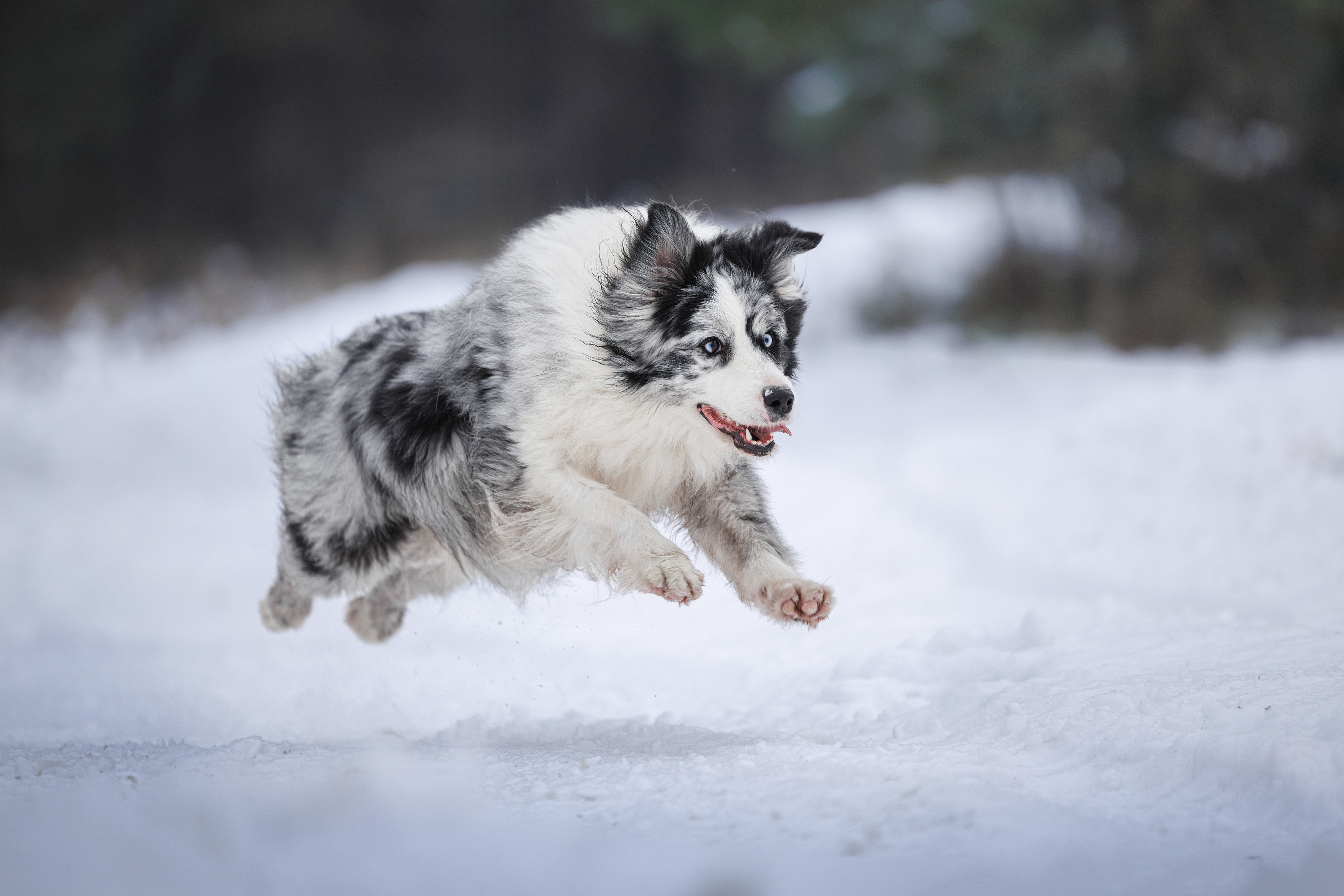 , Яна Нарбутович