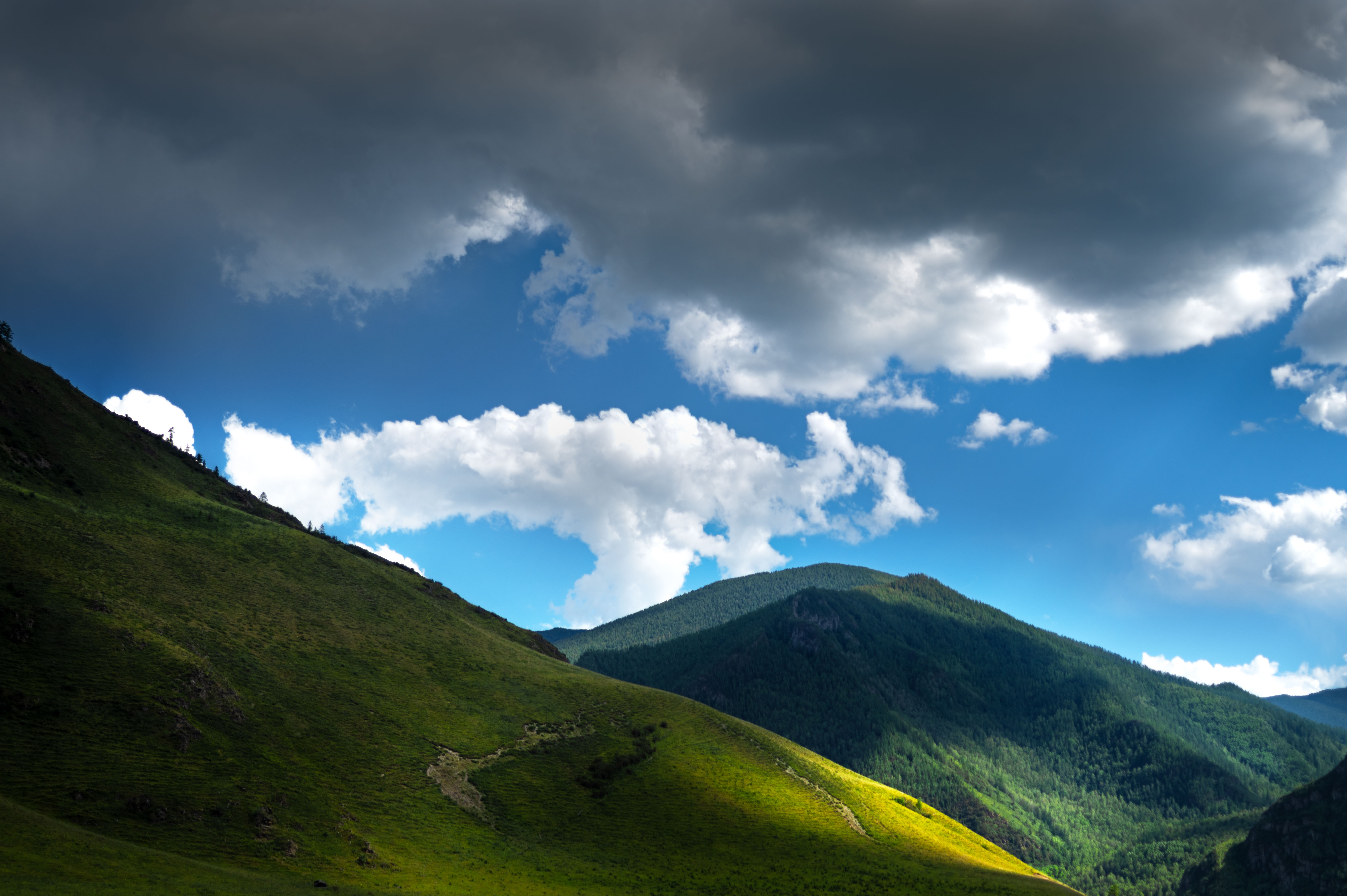 горный алтай, белый бом, Андреева Светлана