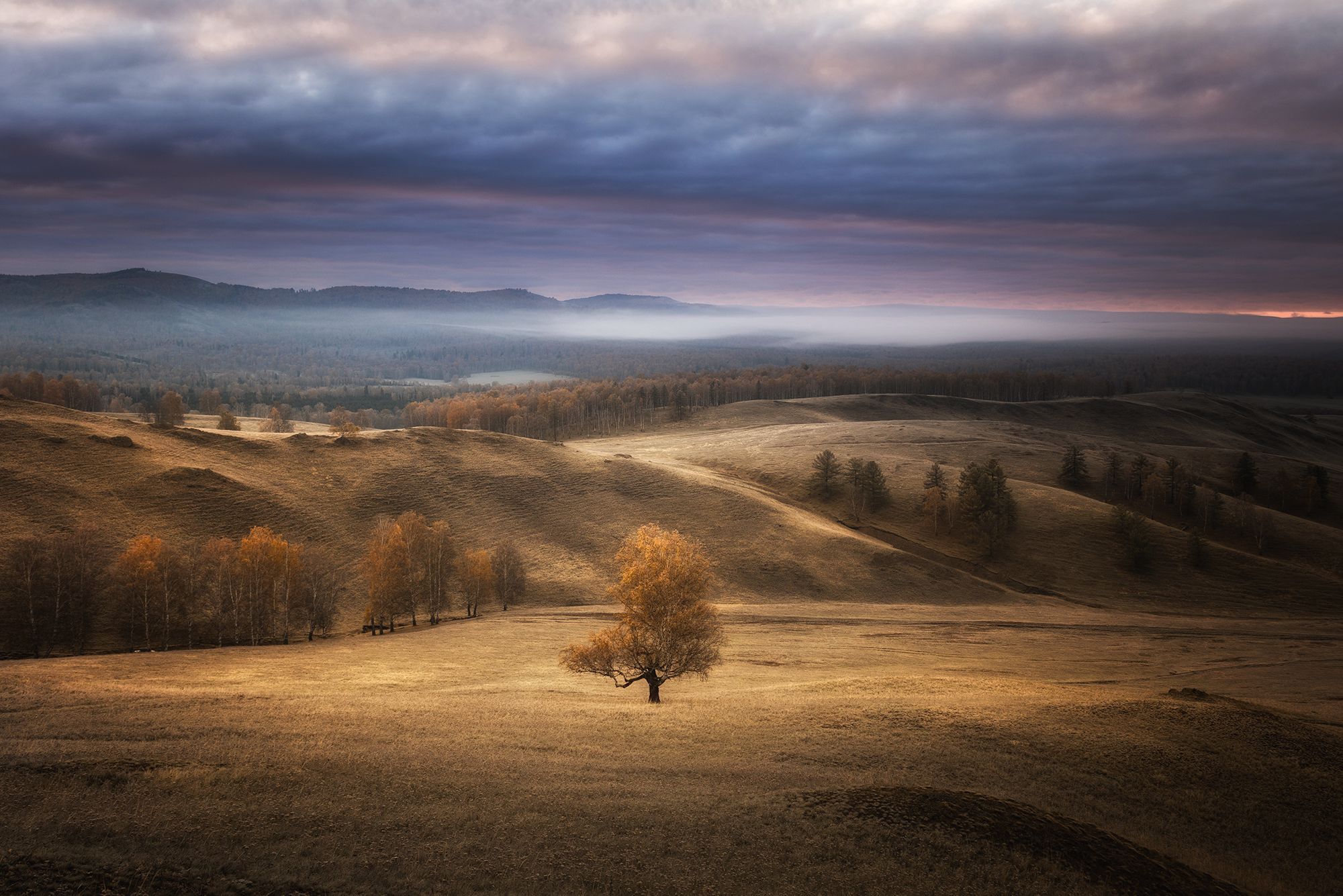 , Бирюкова Татьяна