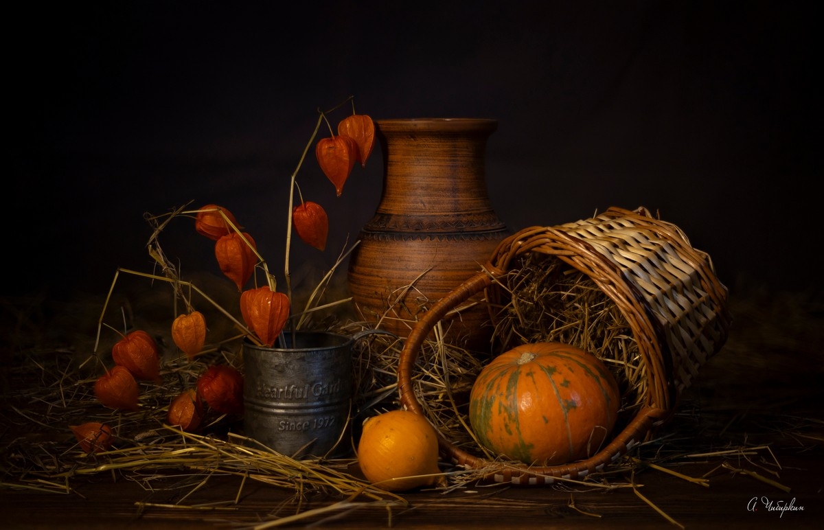 натюрморт, тыква, физалис, Александр Чибиркин