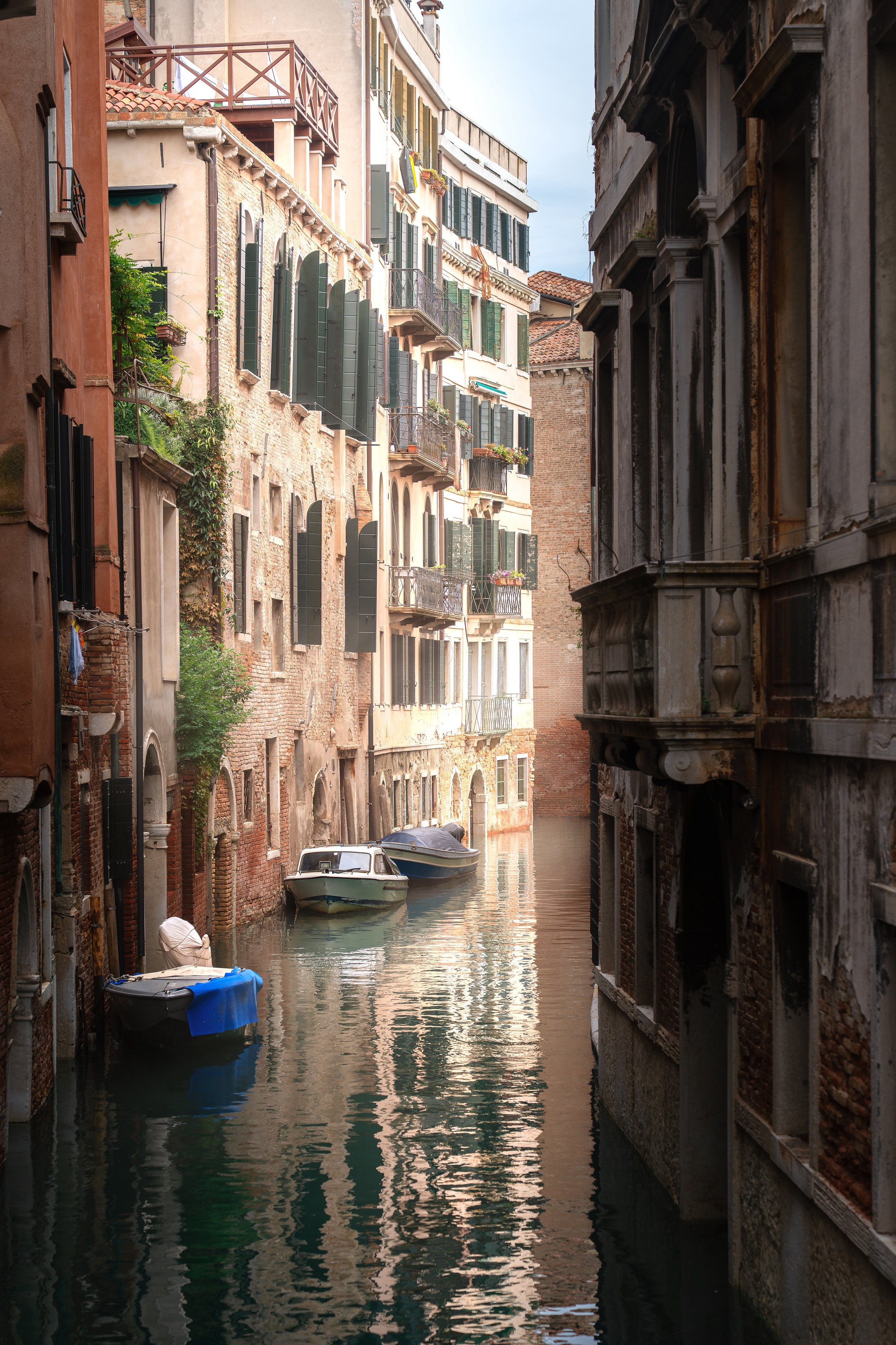 , Шимаковский Юрий