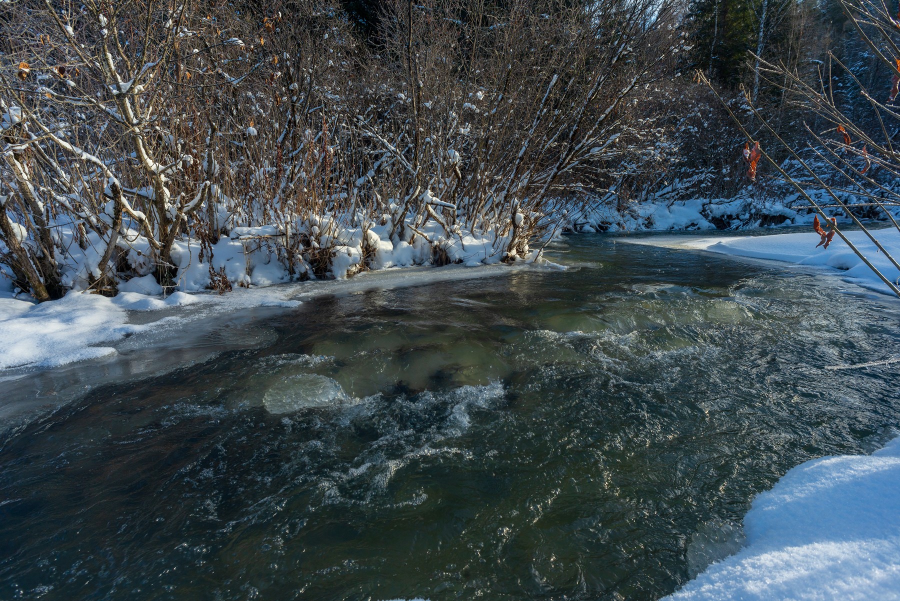 базаиха ноябрь, Беляев Юрий