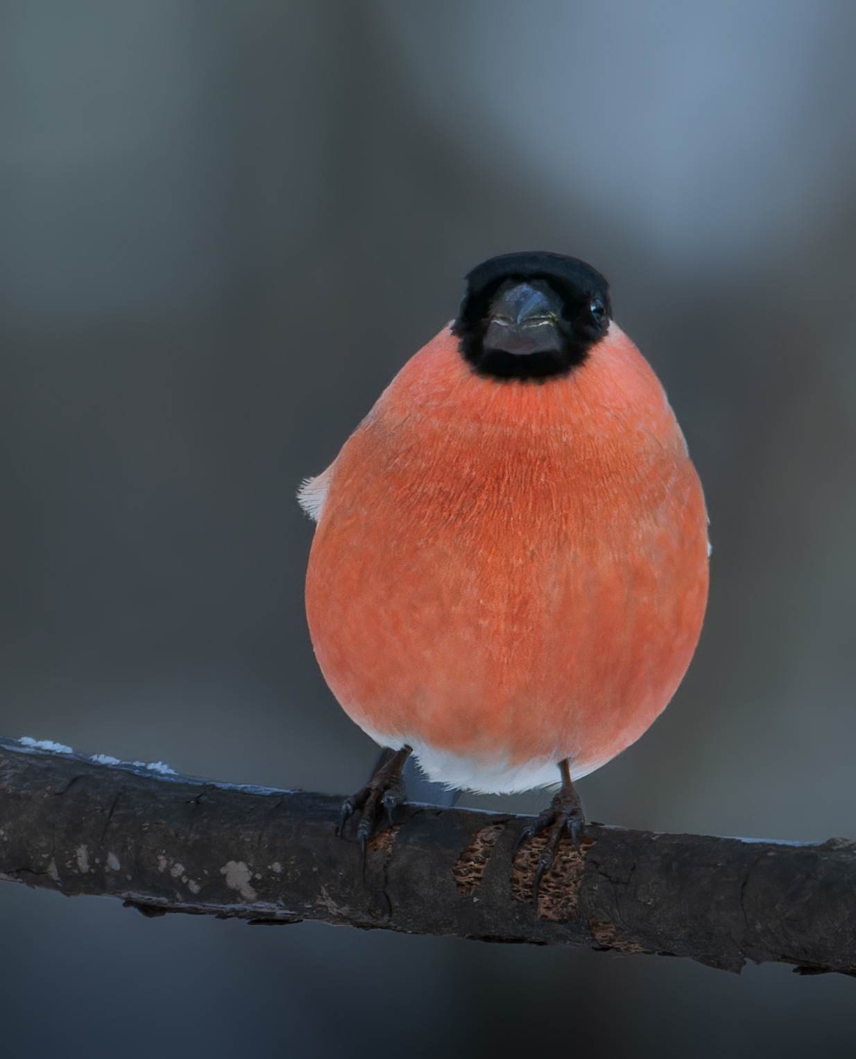 , Фото Александр