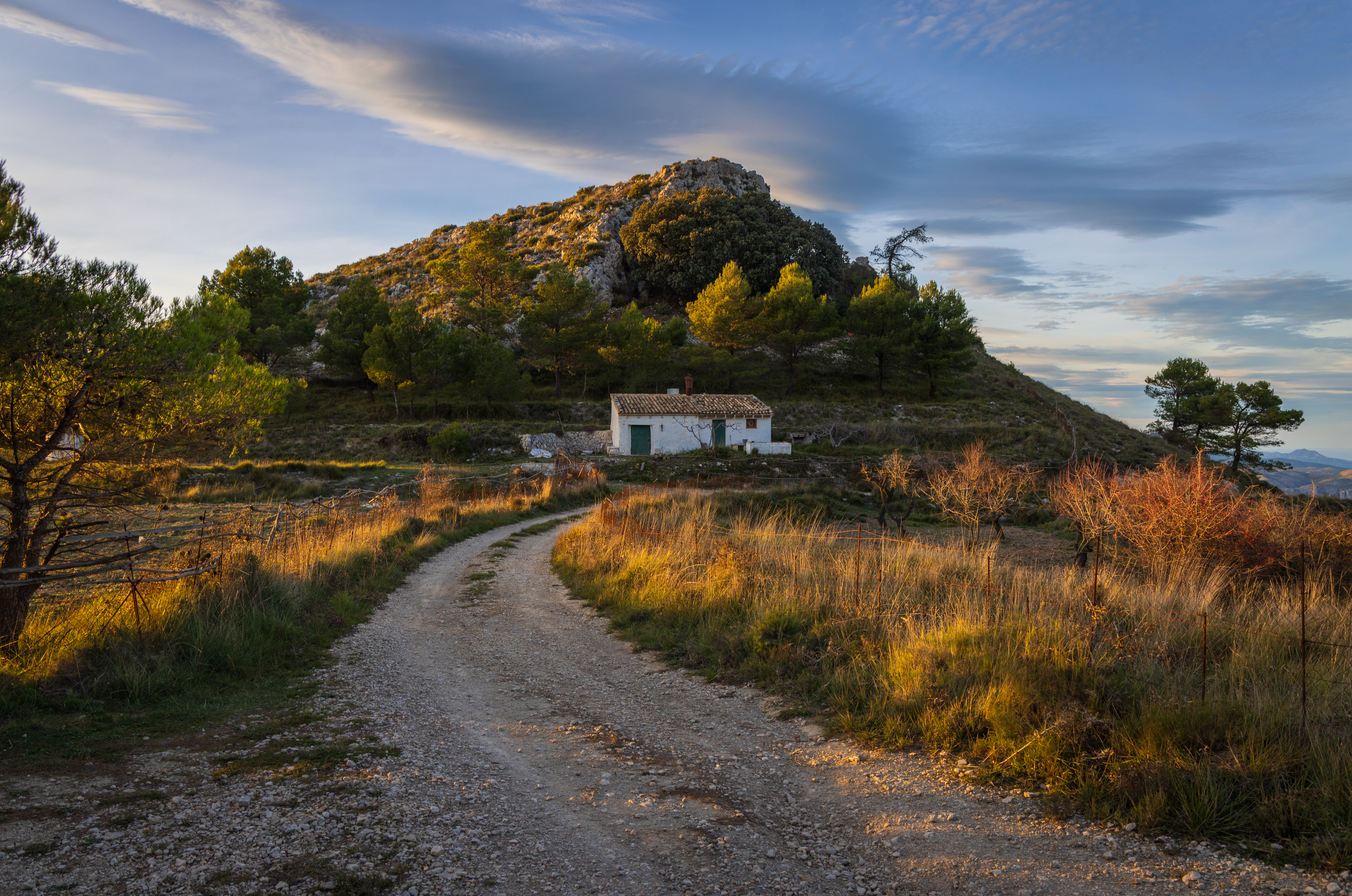 , Алекс Римский