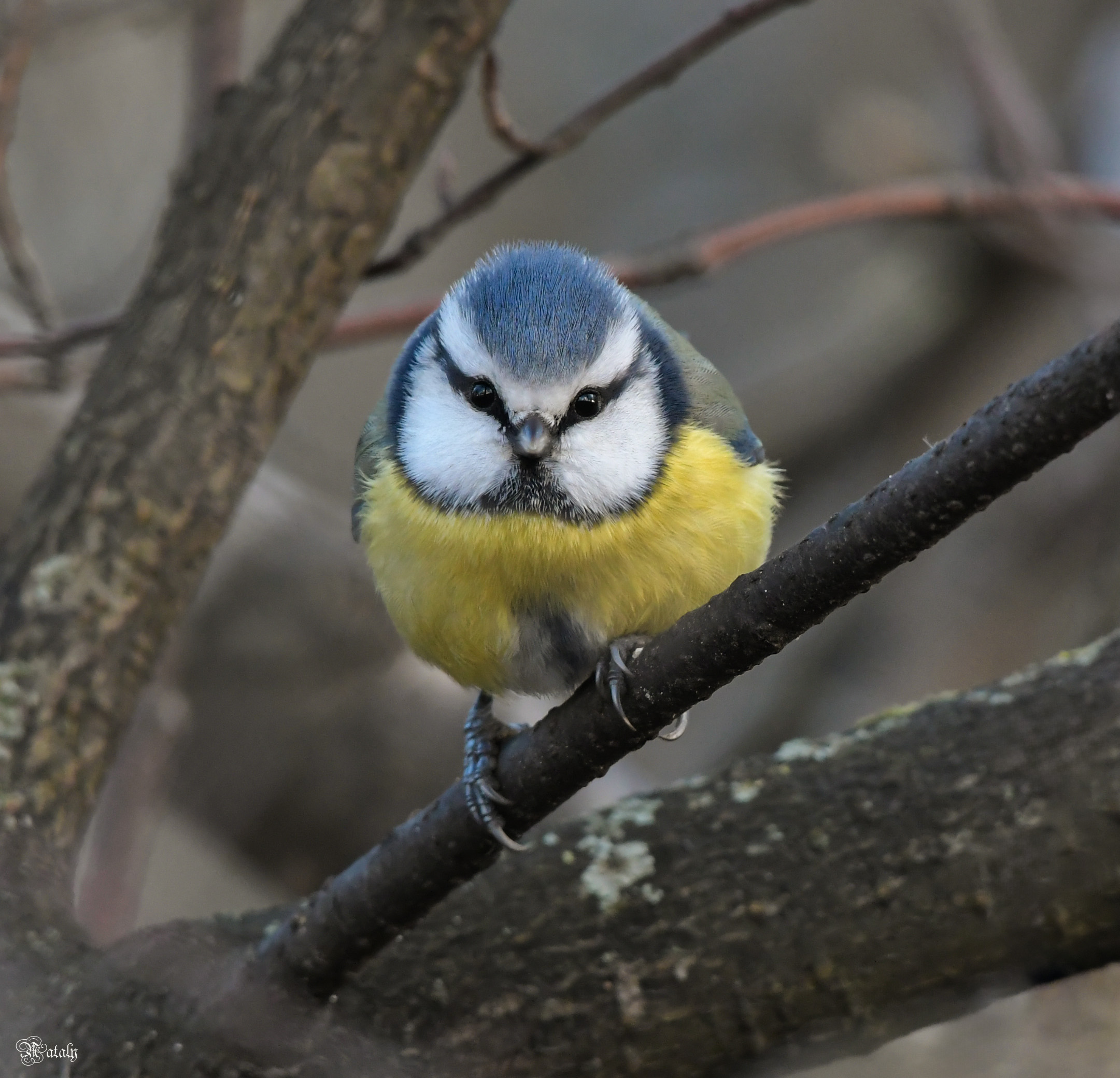 , Наталья Екимова