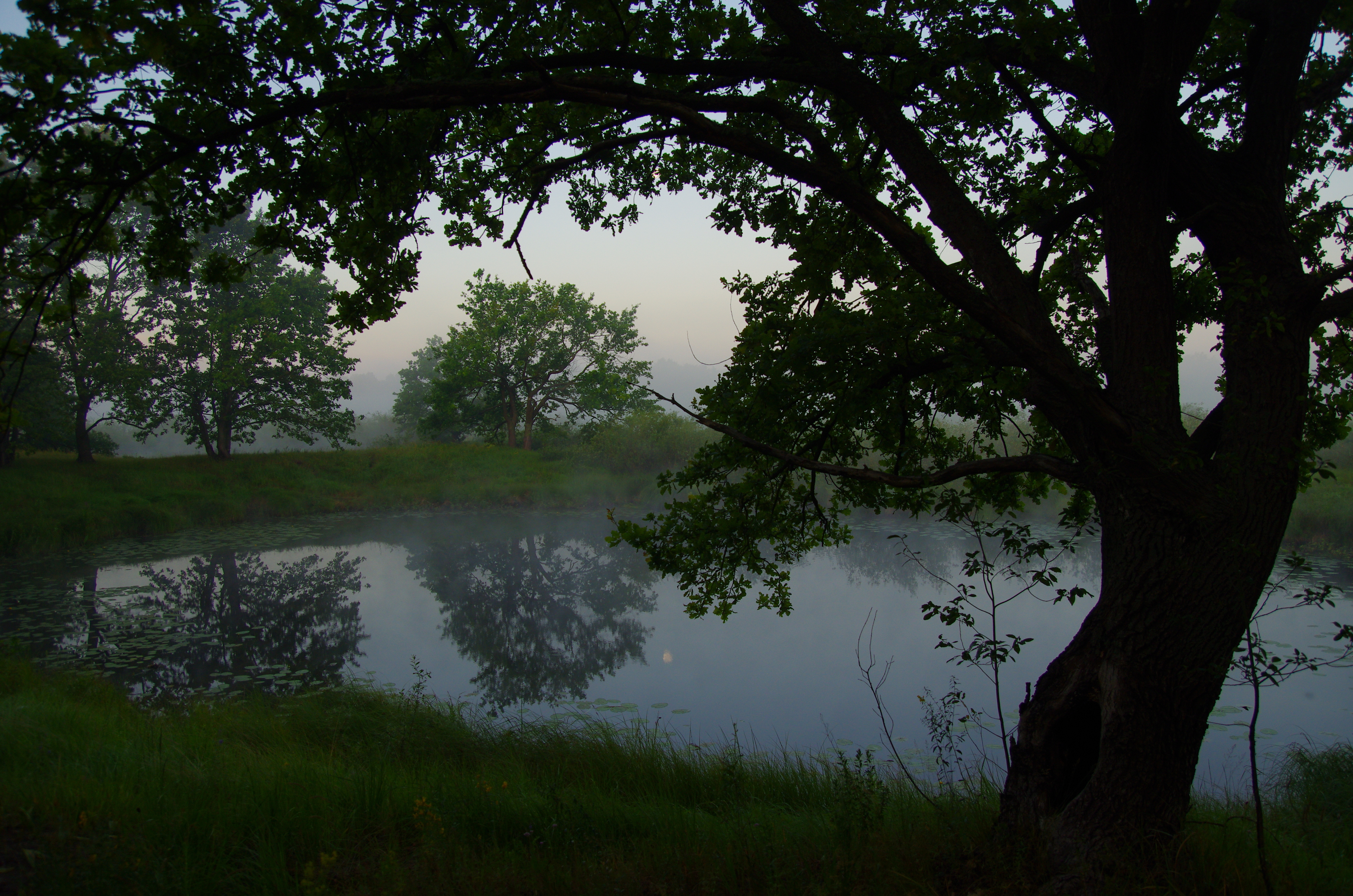 , Шляга Сергей