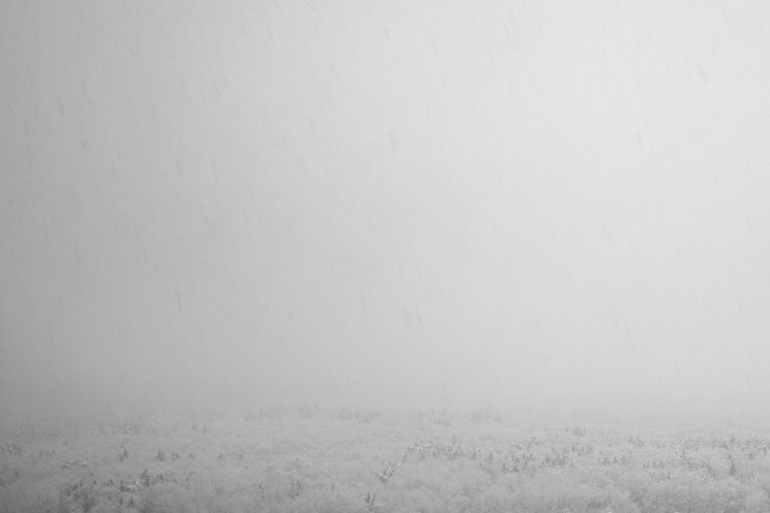 , Корж Владимир