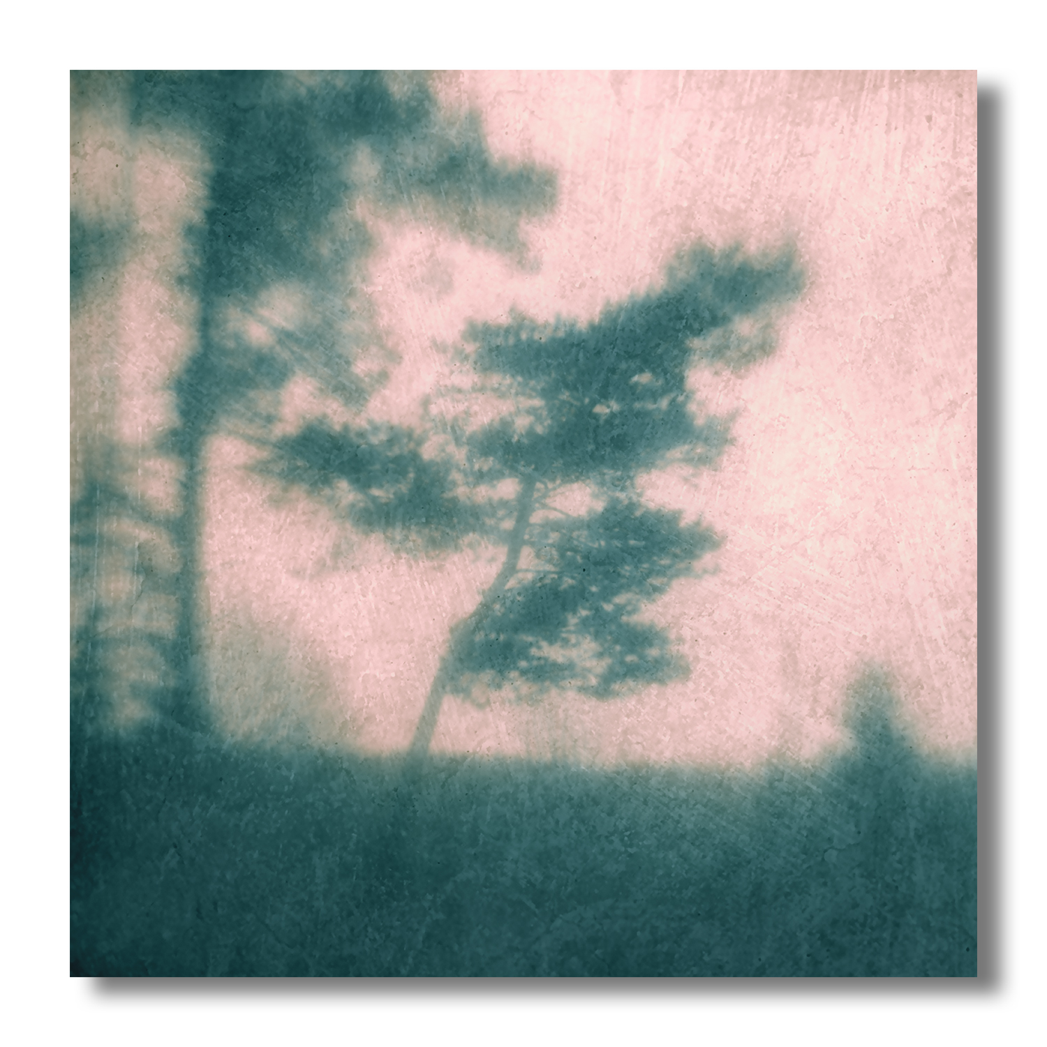 пикториализм, монокль, арт-фотография, художественная фотография, пикториальный пейзаж, пикториальная фотография, интимный пейзаж, Ефимов Андрей