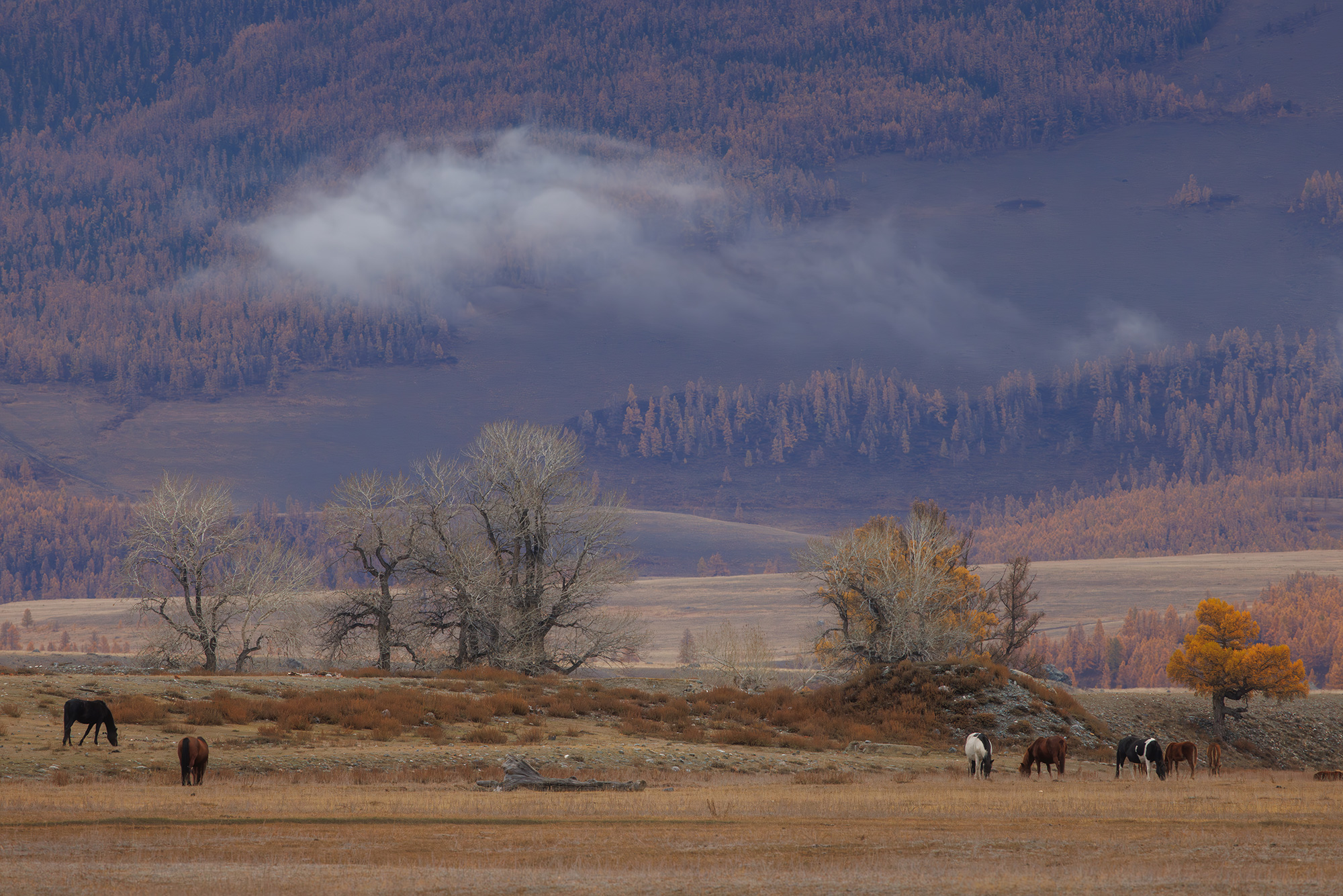 , Морозов Сергей