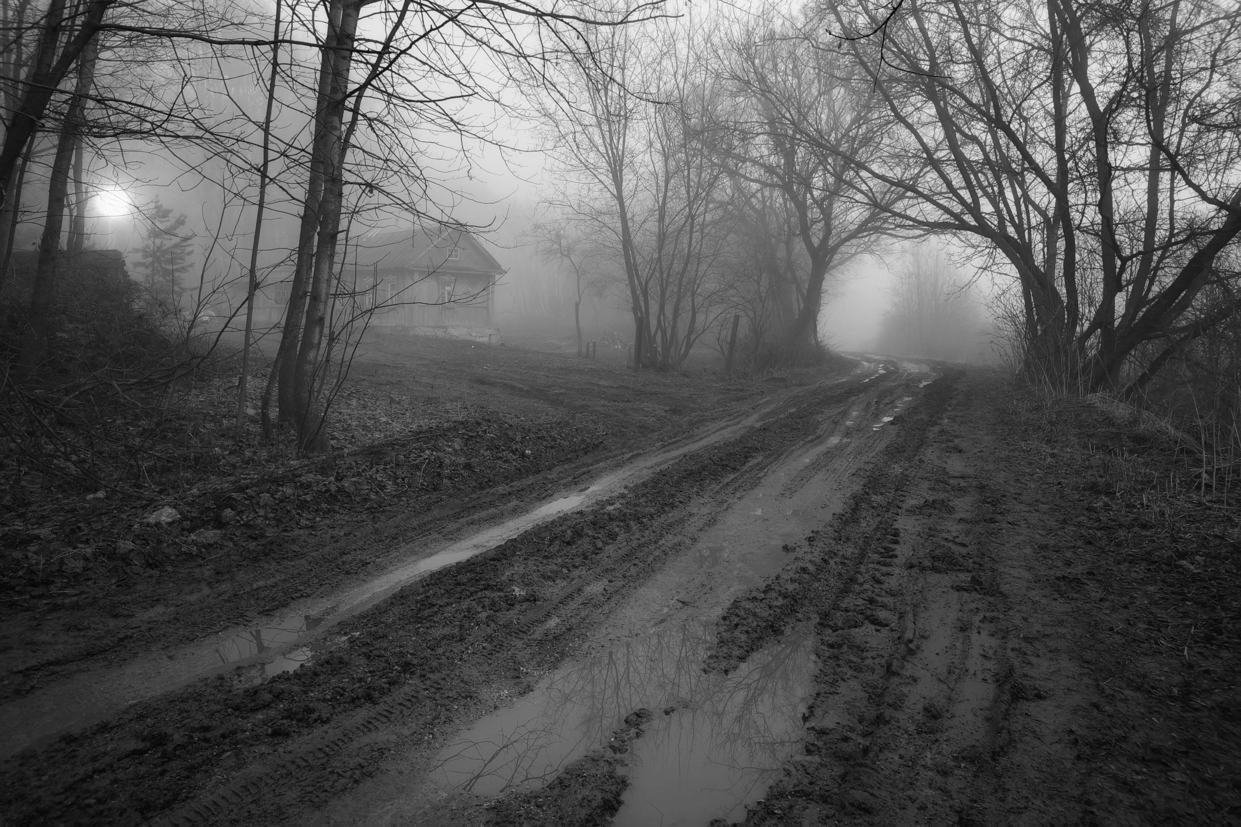 , Кондрашова Светлана