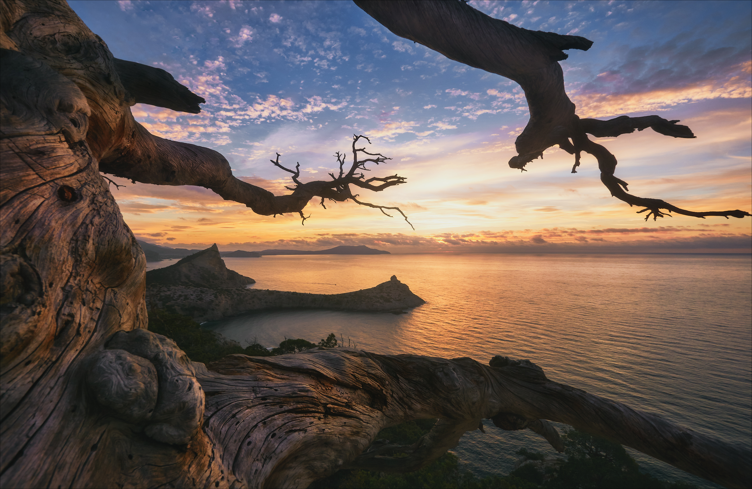 , Богорянов Алексей