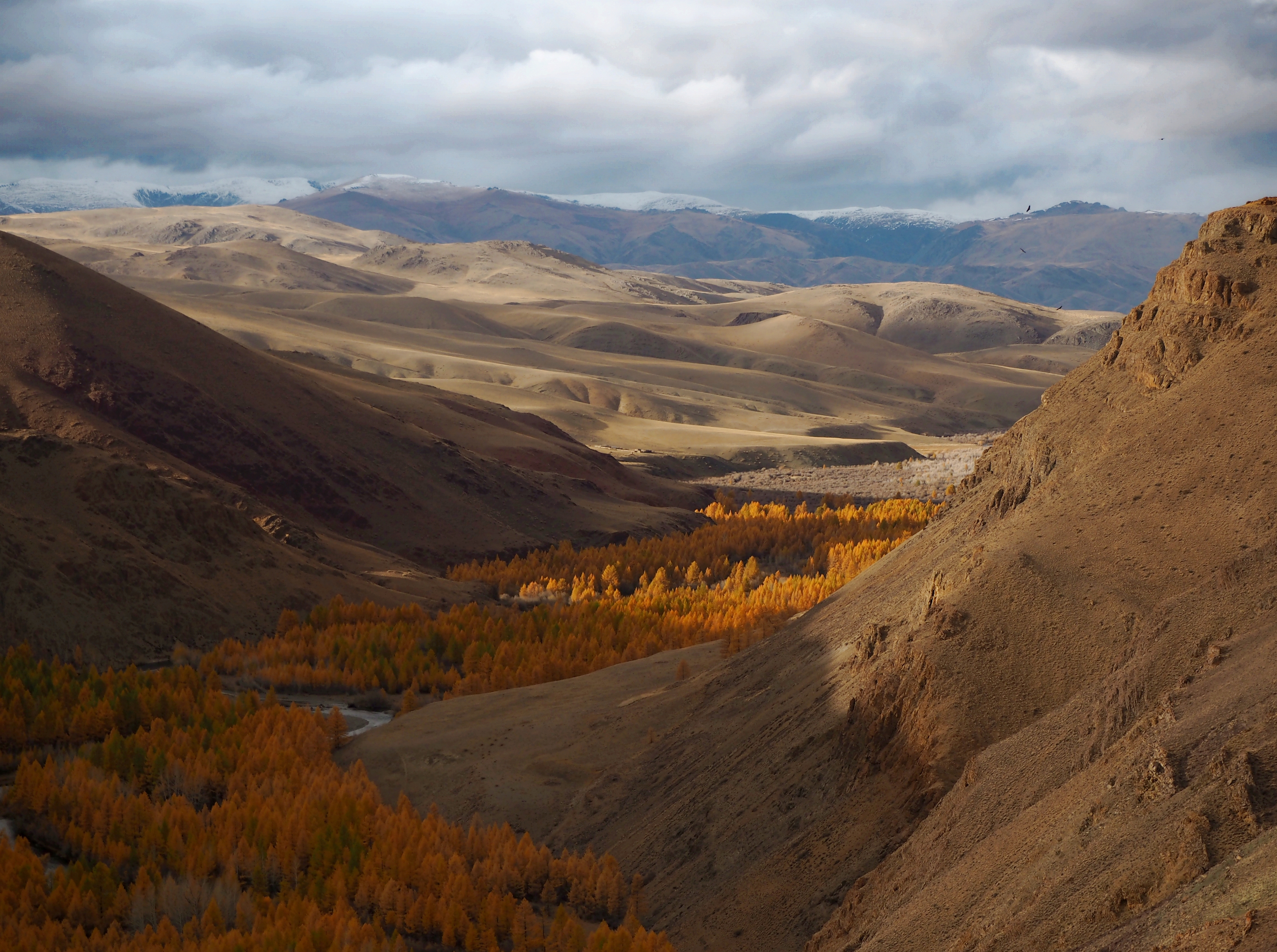 , Яковлев Евгений