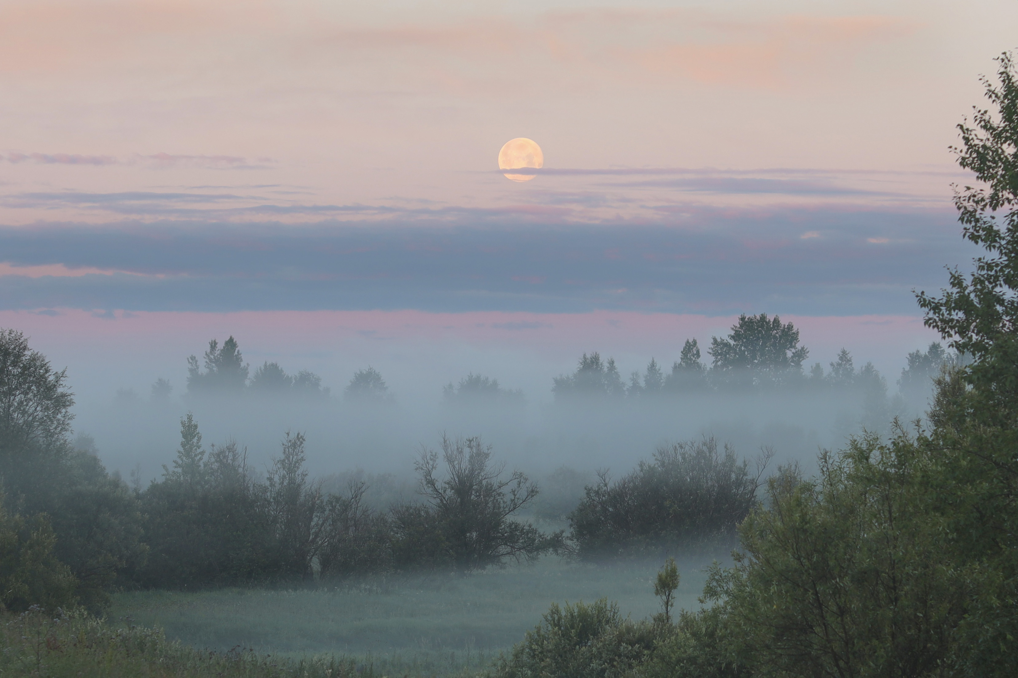 , Константин Буркин