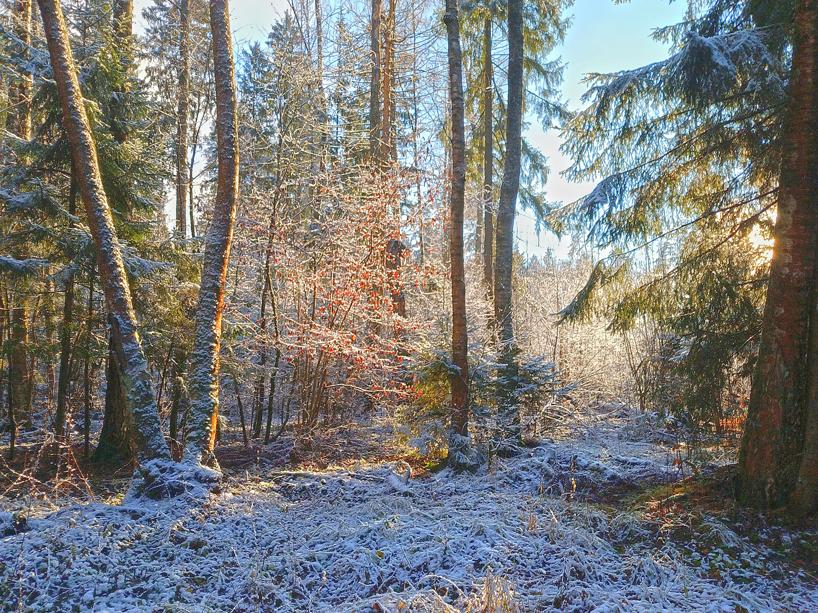 , Сергей Седов