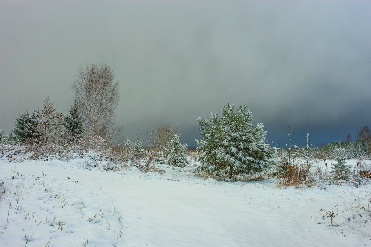 , Петр Косых