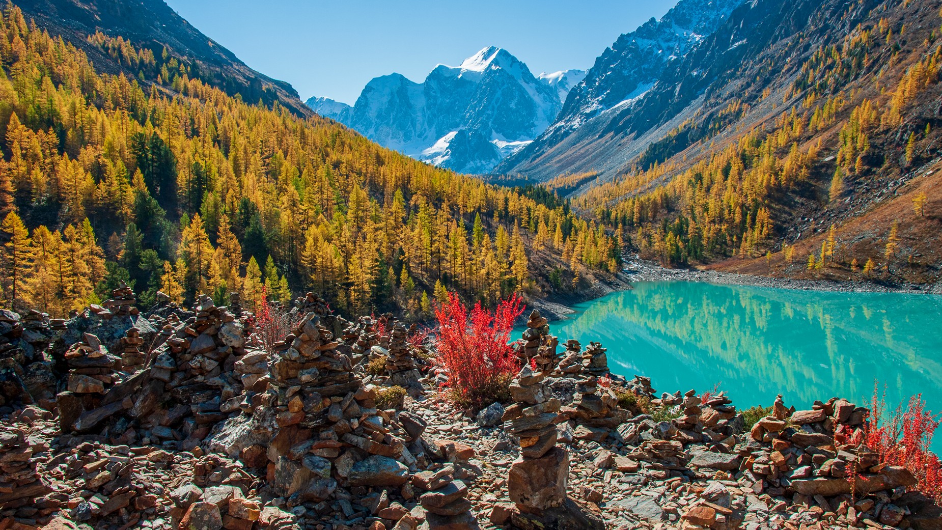 алтай, семёновское, озеро, мечта, красавица, сказка, осень, лиственницы, утро, обо, барбарис, Мальцев Юрий