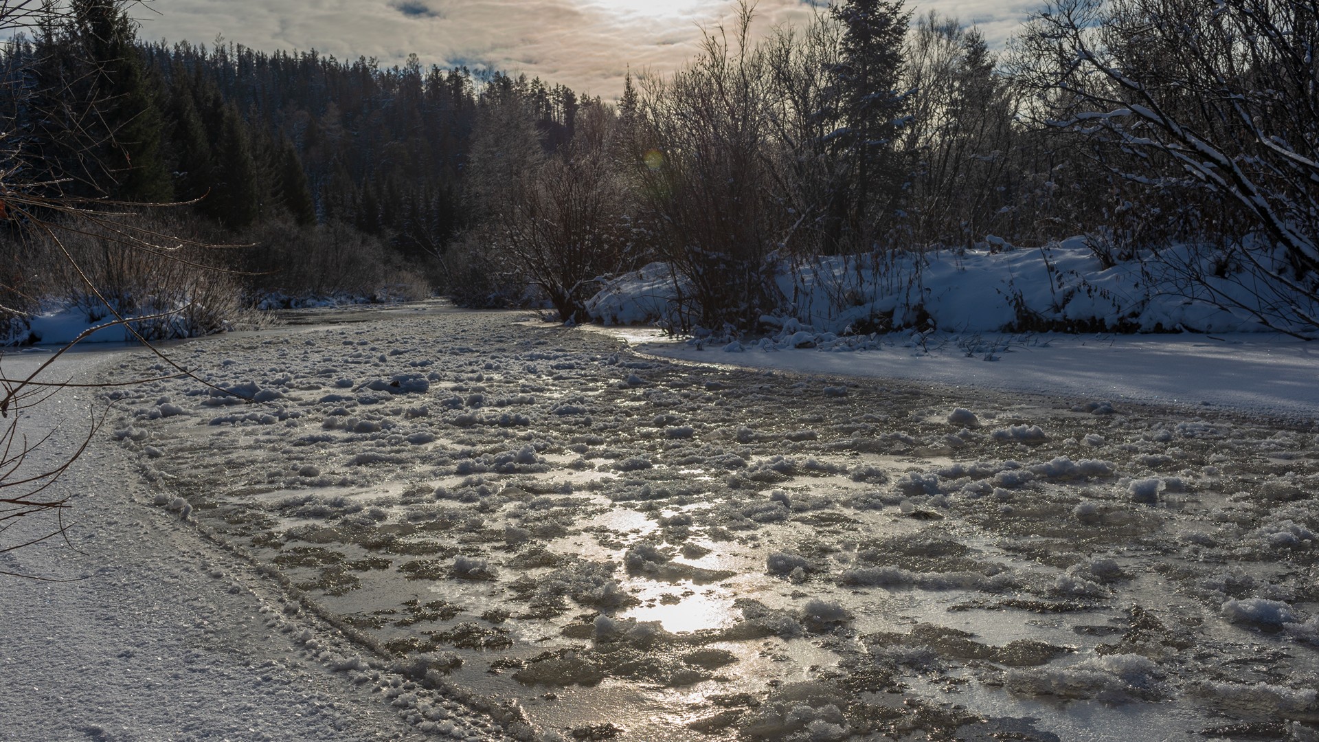 базаиха ноябрь, Беляев Юрий