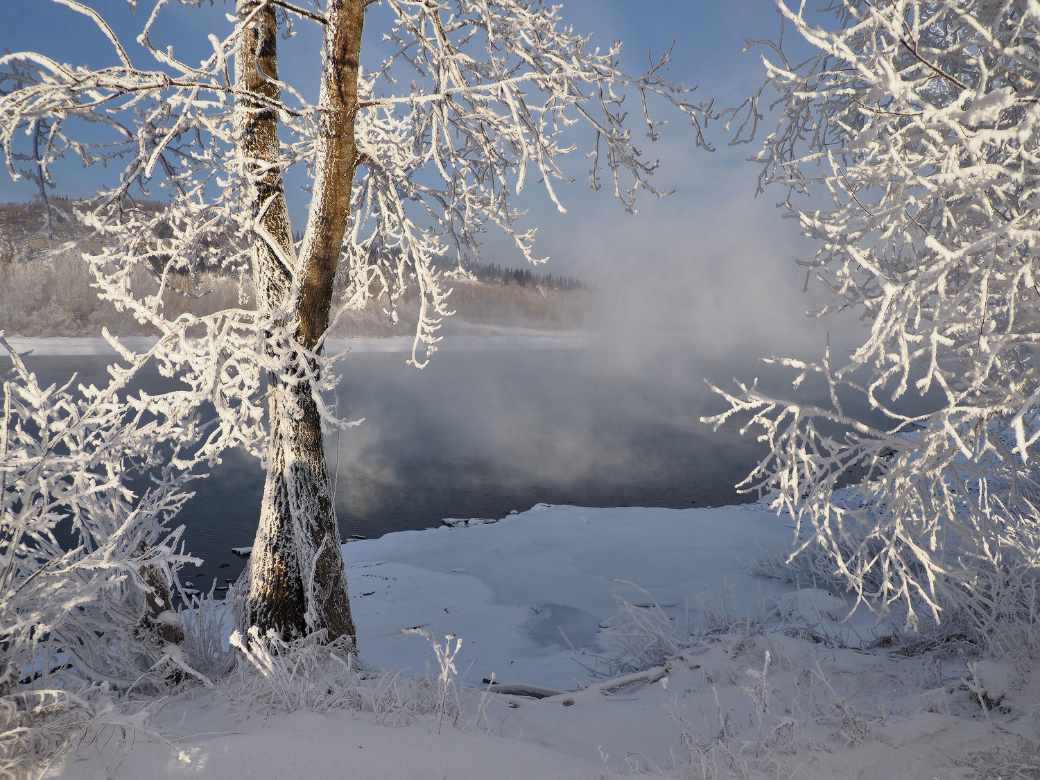 Иней, Томь, Сибирь, Галина Хвостенко