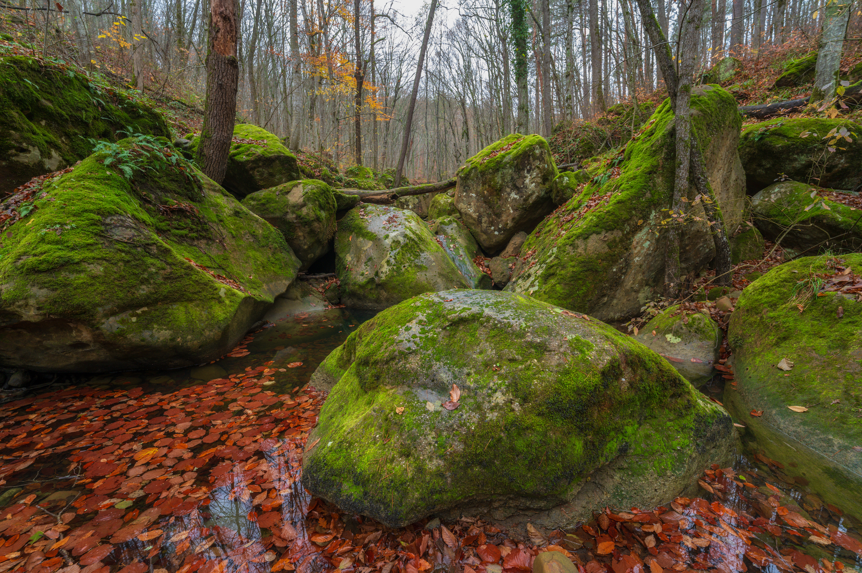 , Сергей Тихомиров