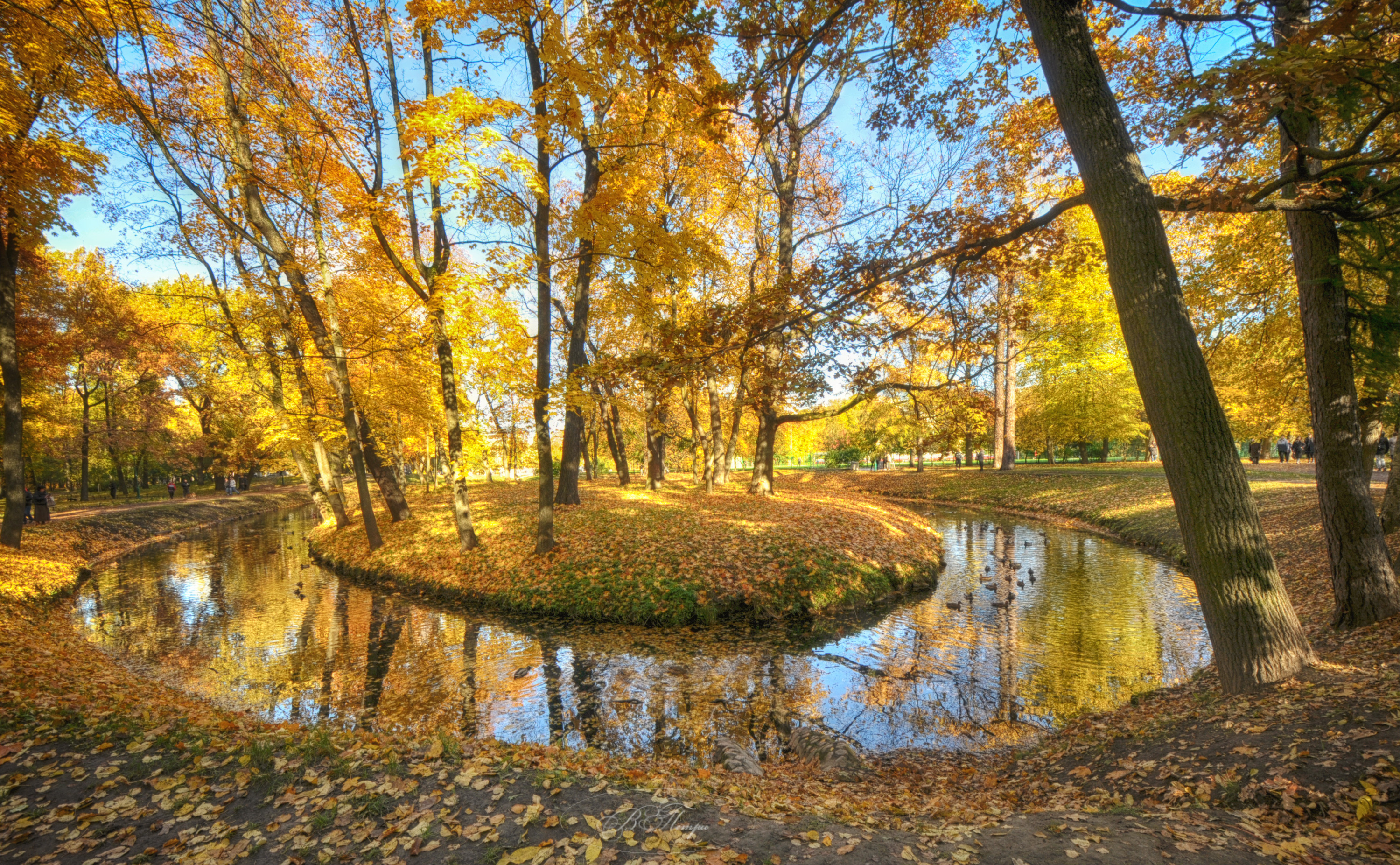 пруд деревья листья, Вера Петри