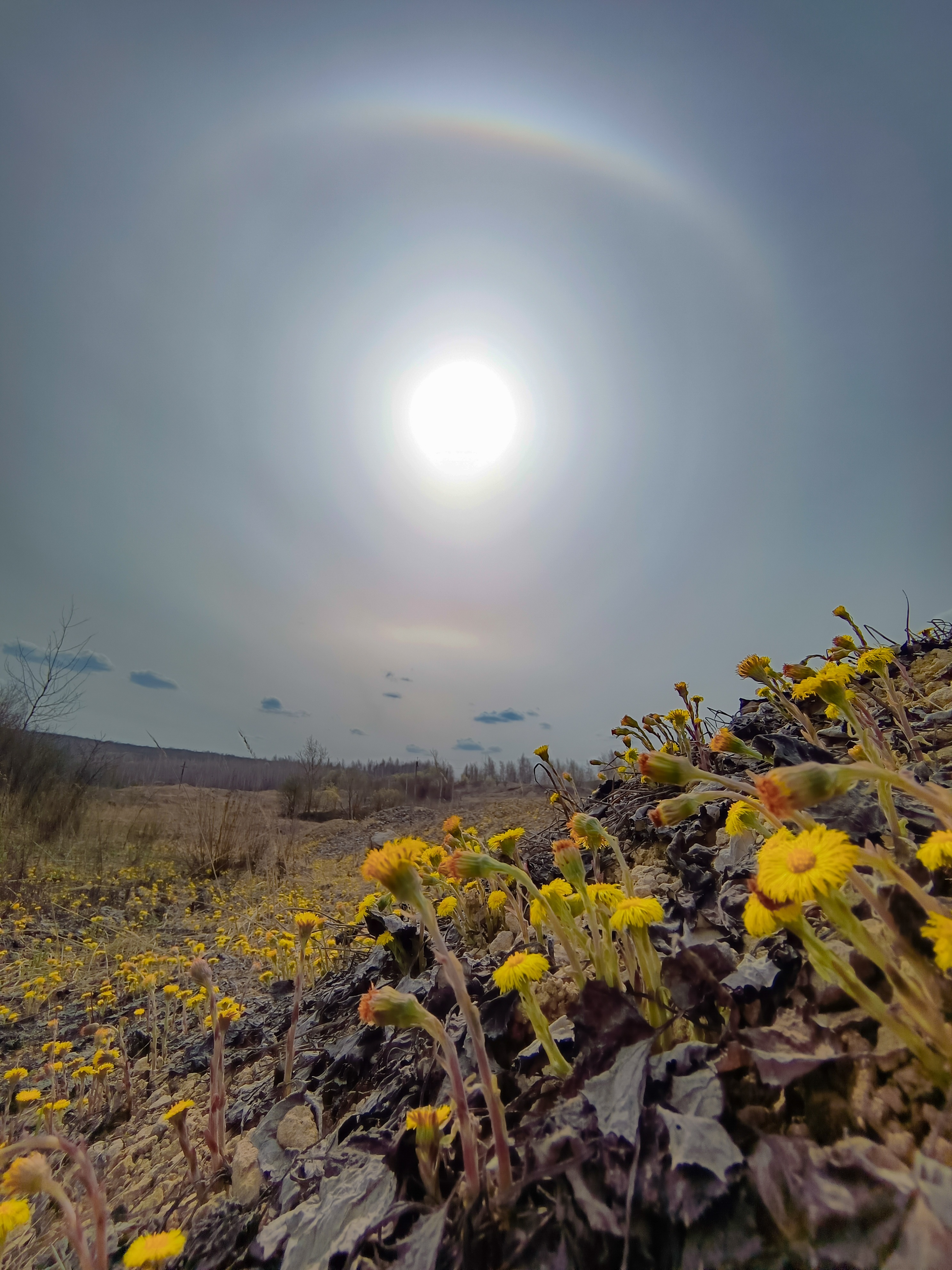 , Кондрашова Светлана