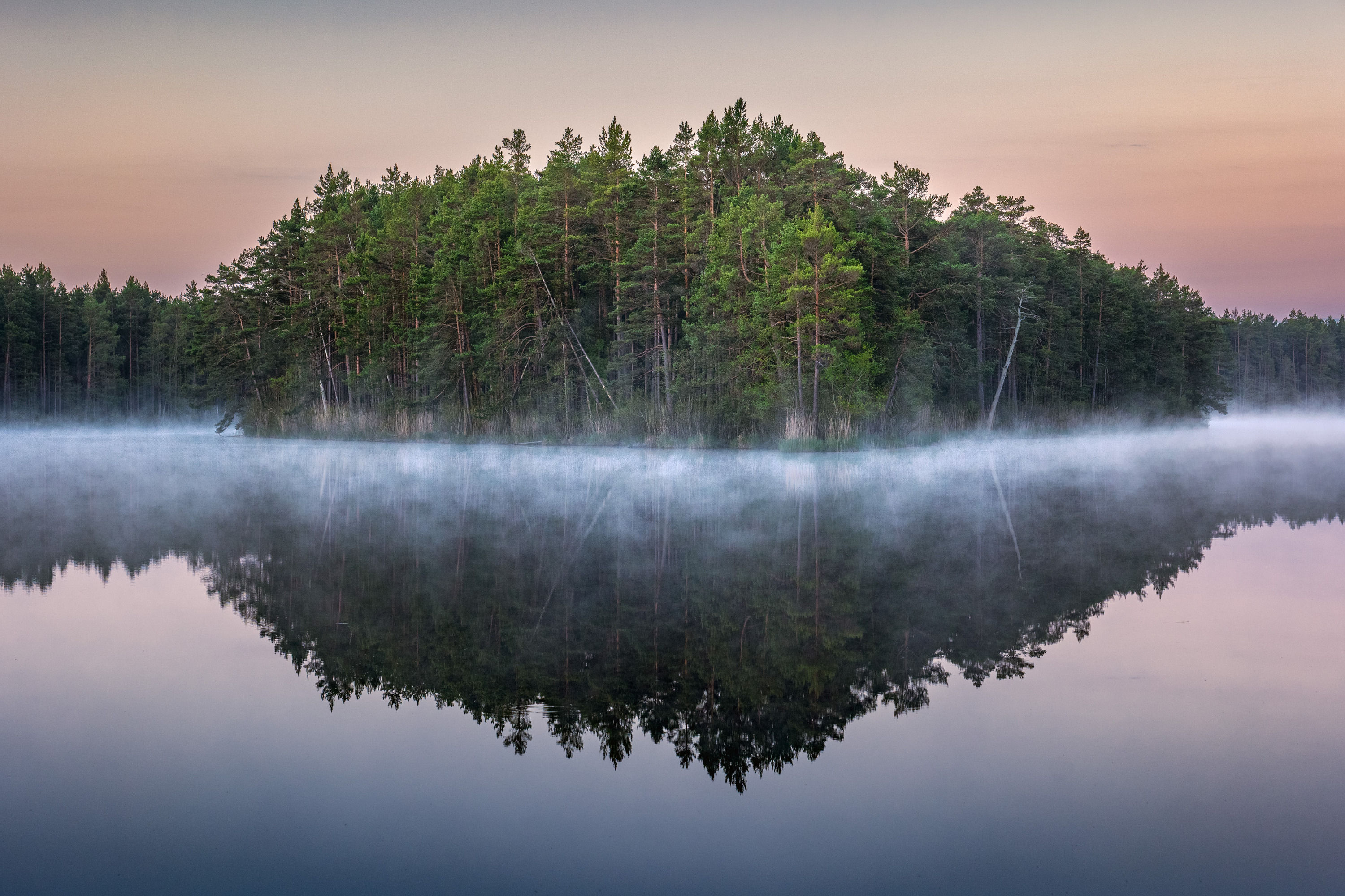 , Гордон Николай