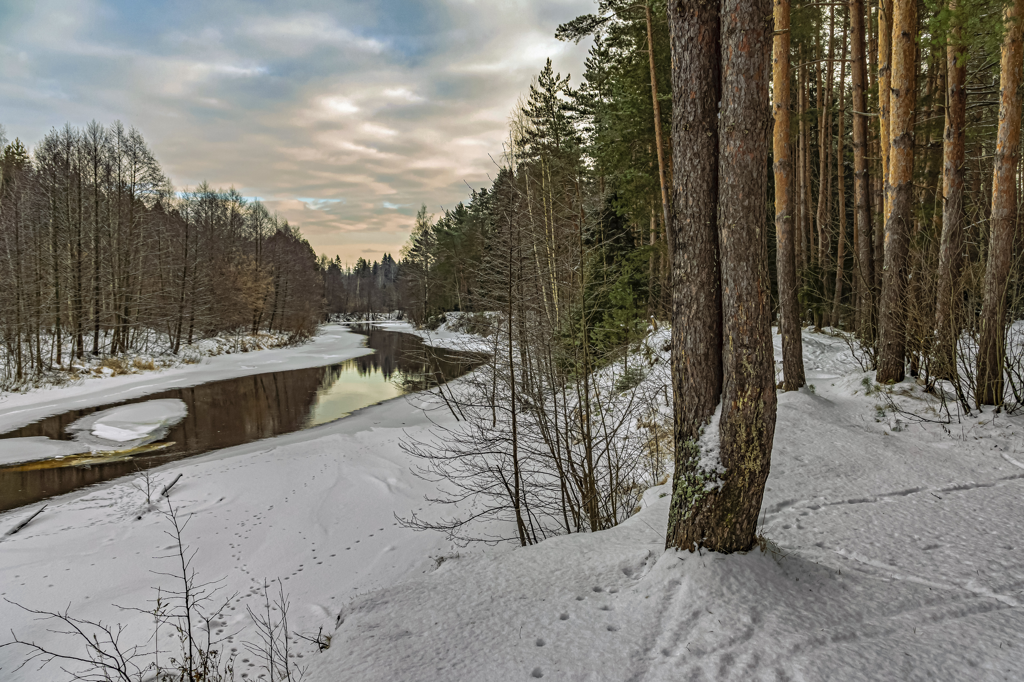 , Шитов Александр