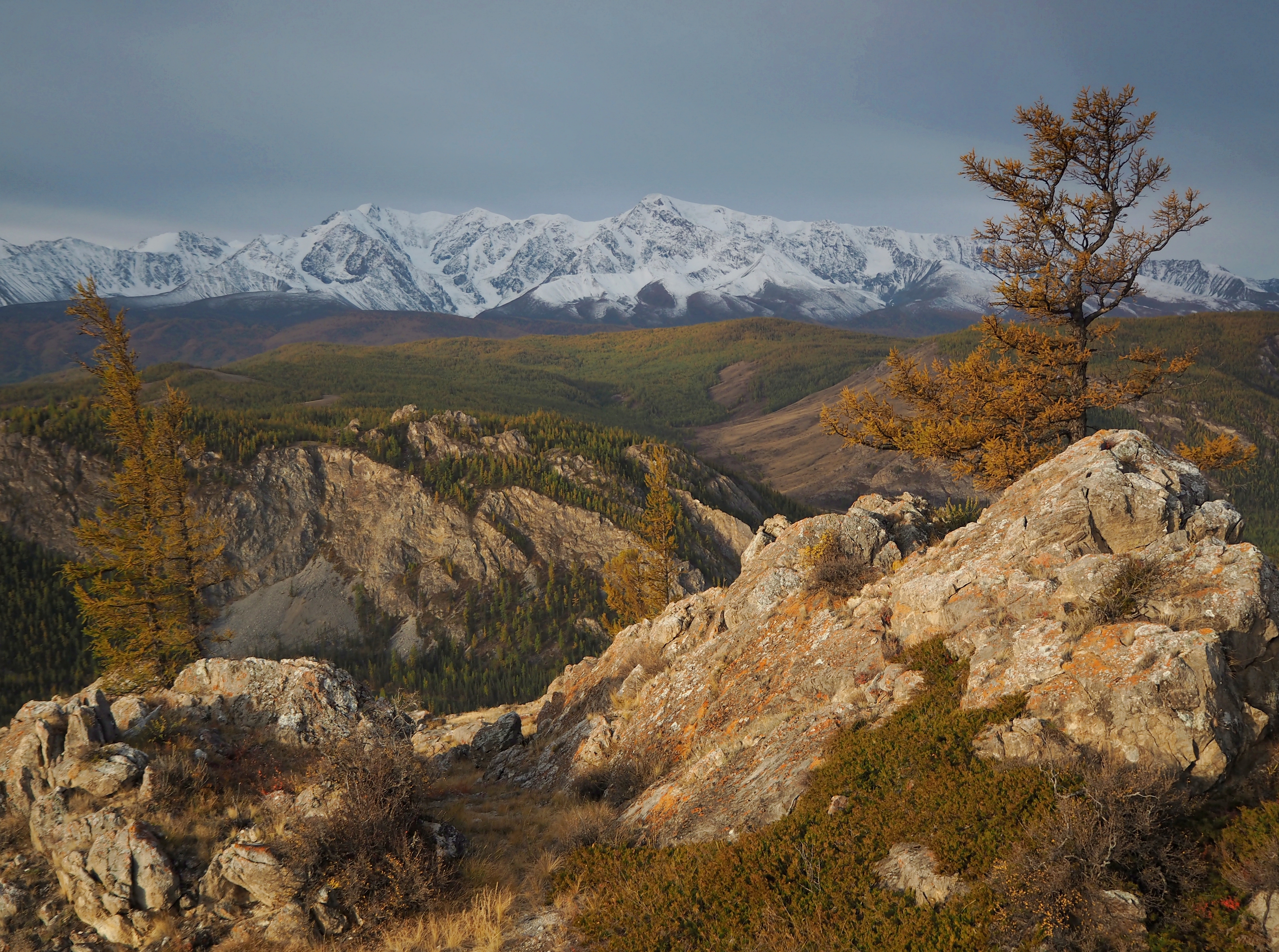 , Яковлев Евгений