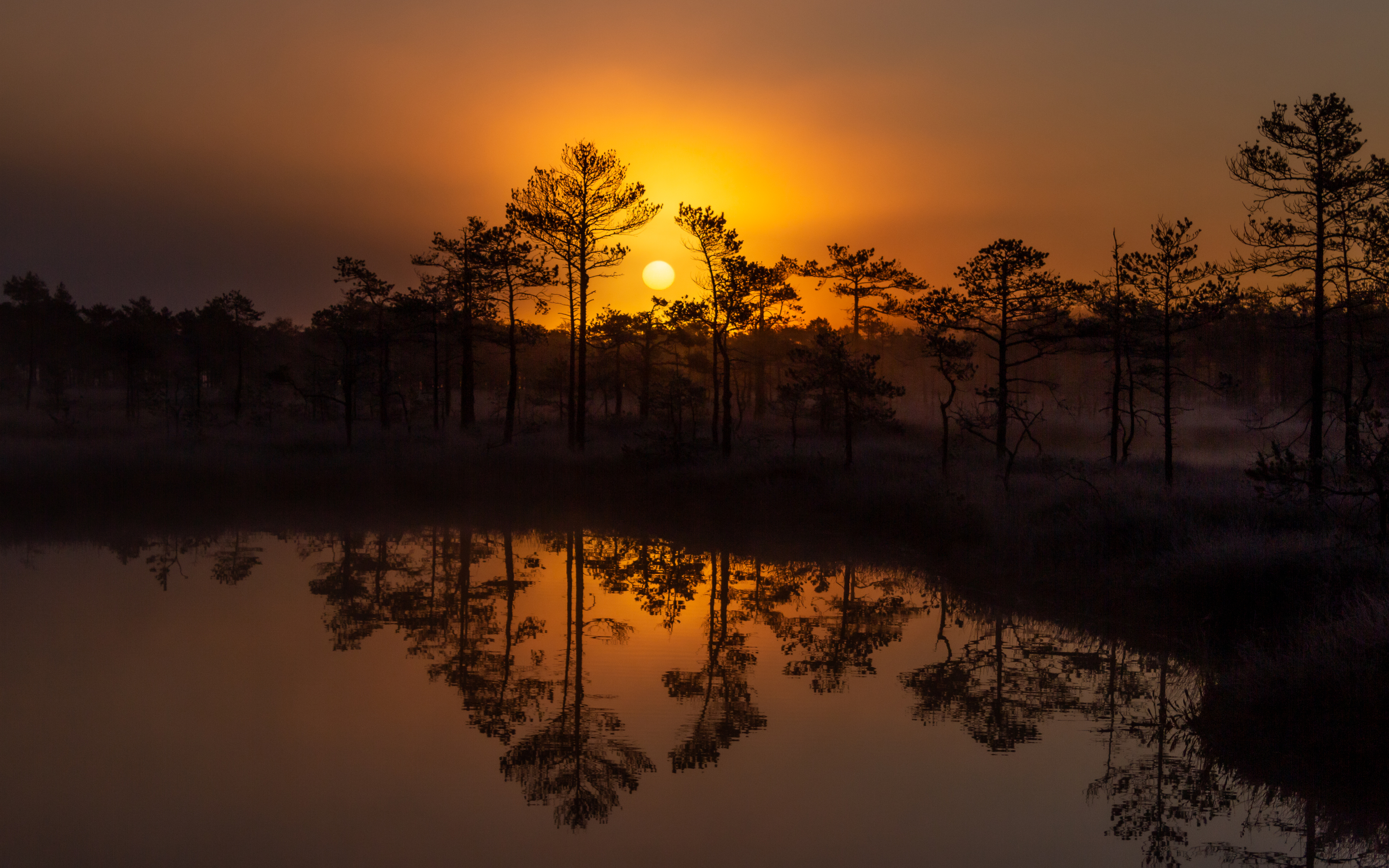 , Комарова Вера