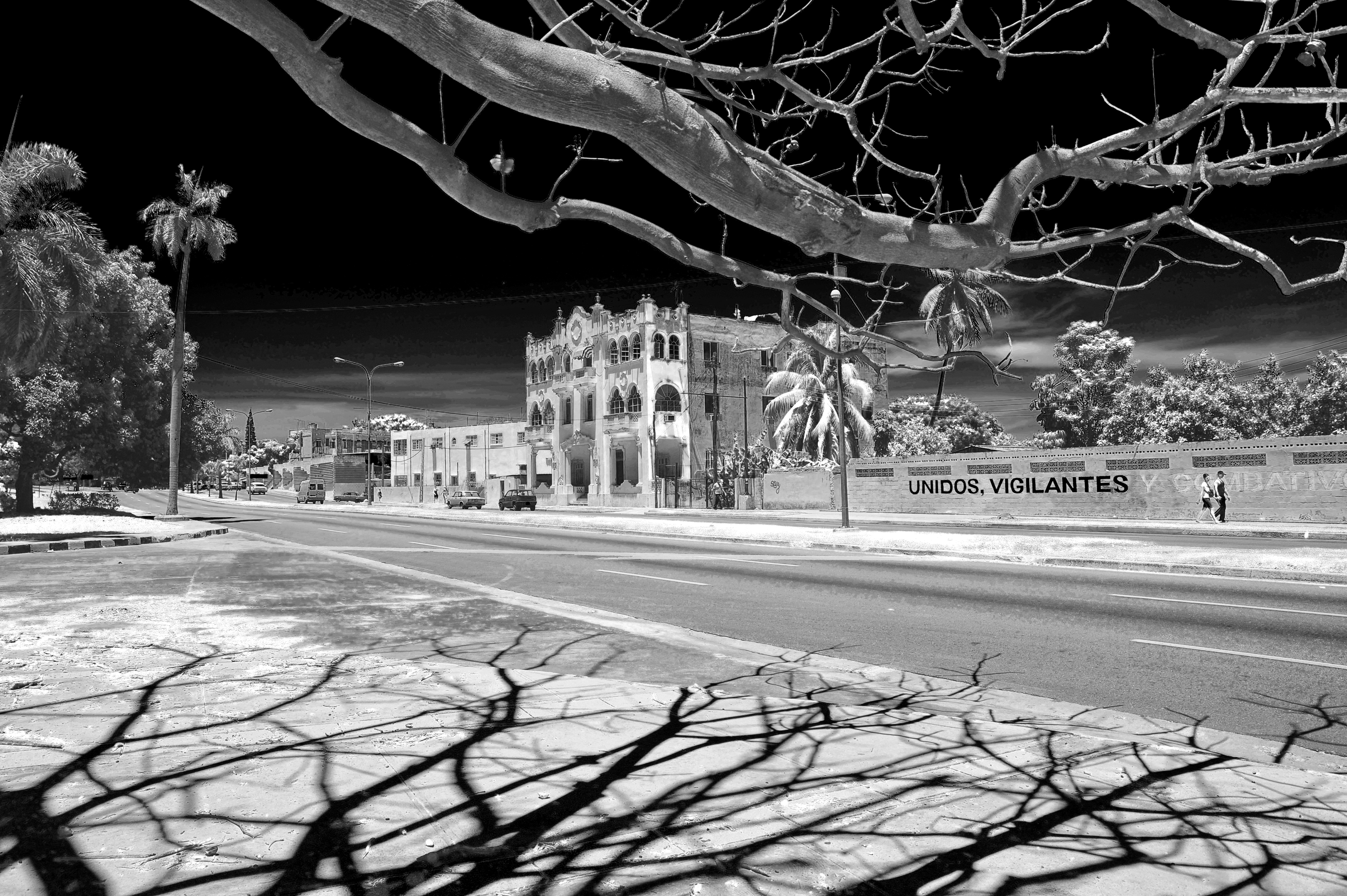 улица, тени, ветки, куба гавна, Ходос Илья