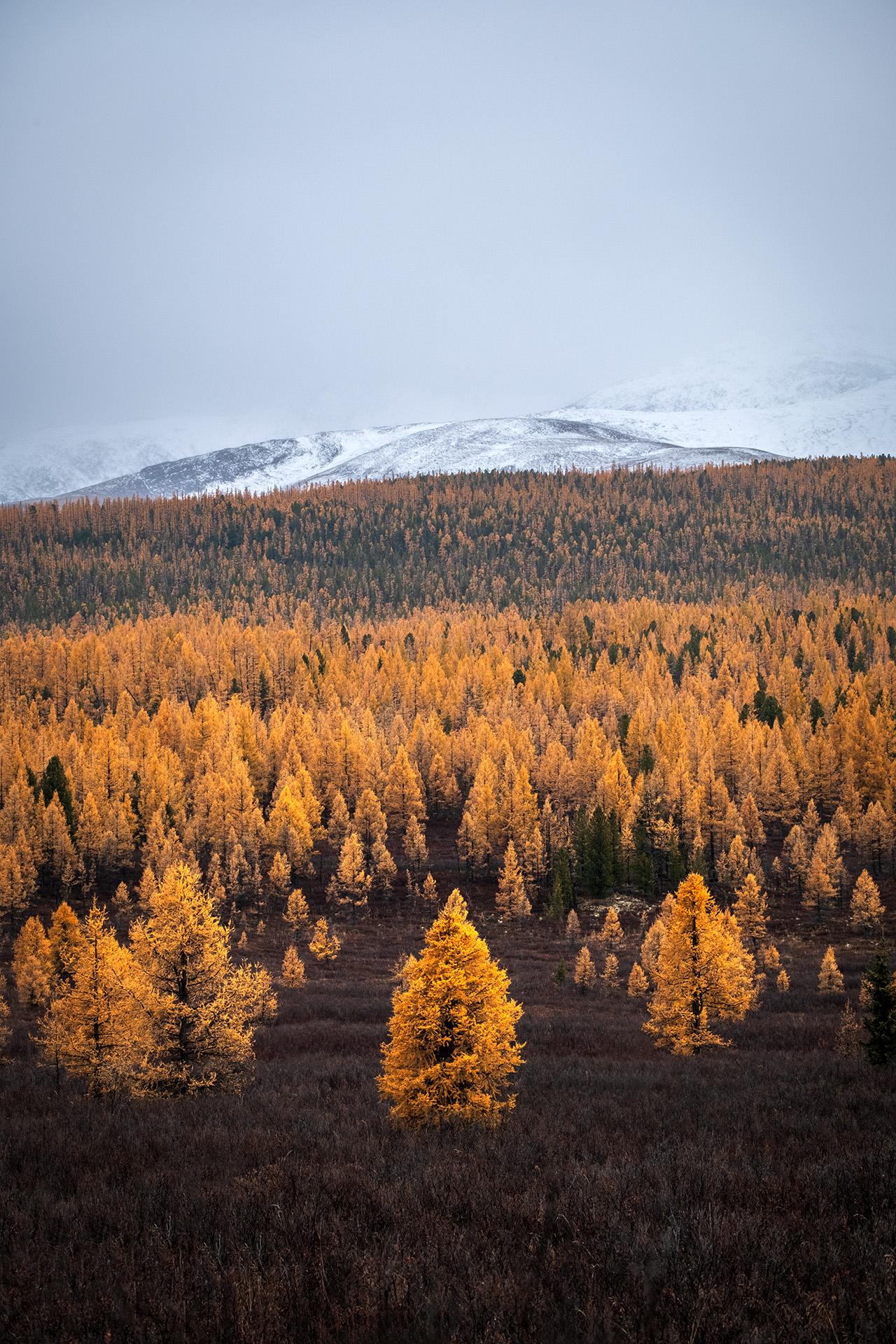 , Бодрягин Виталий
