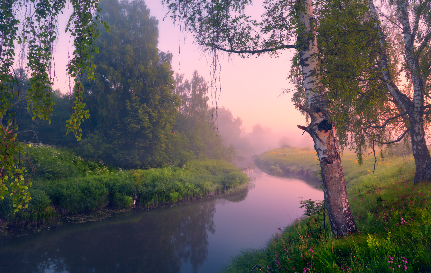 , Роман Лушпа
