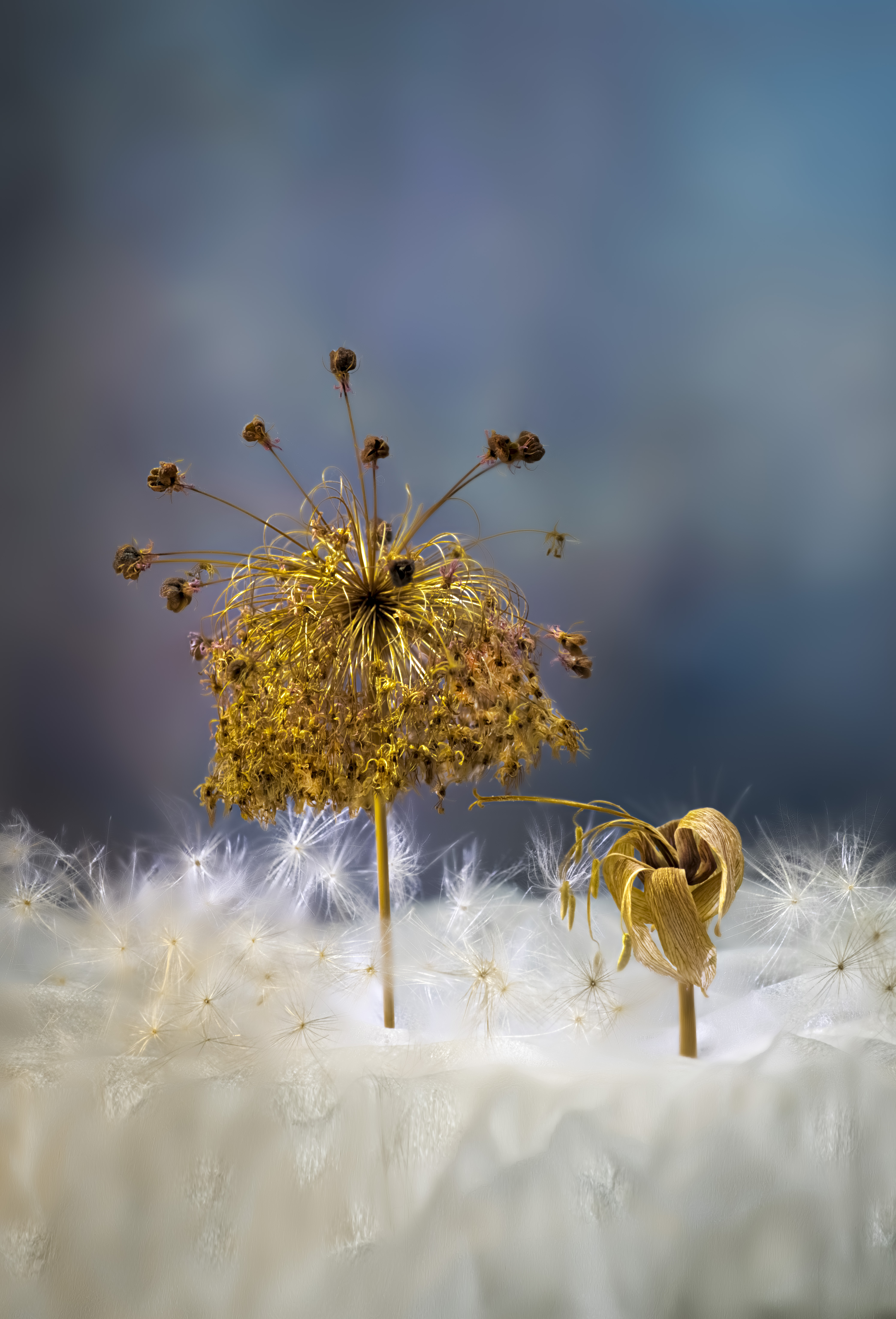 , Валентин Черновол