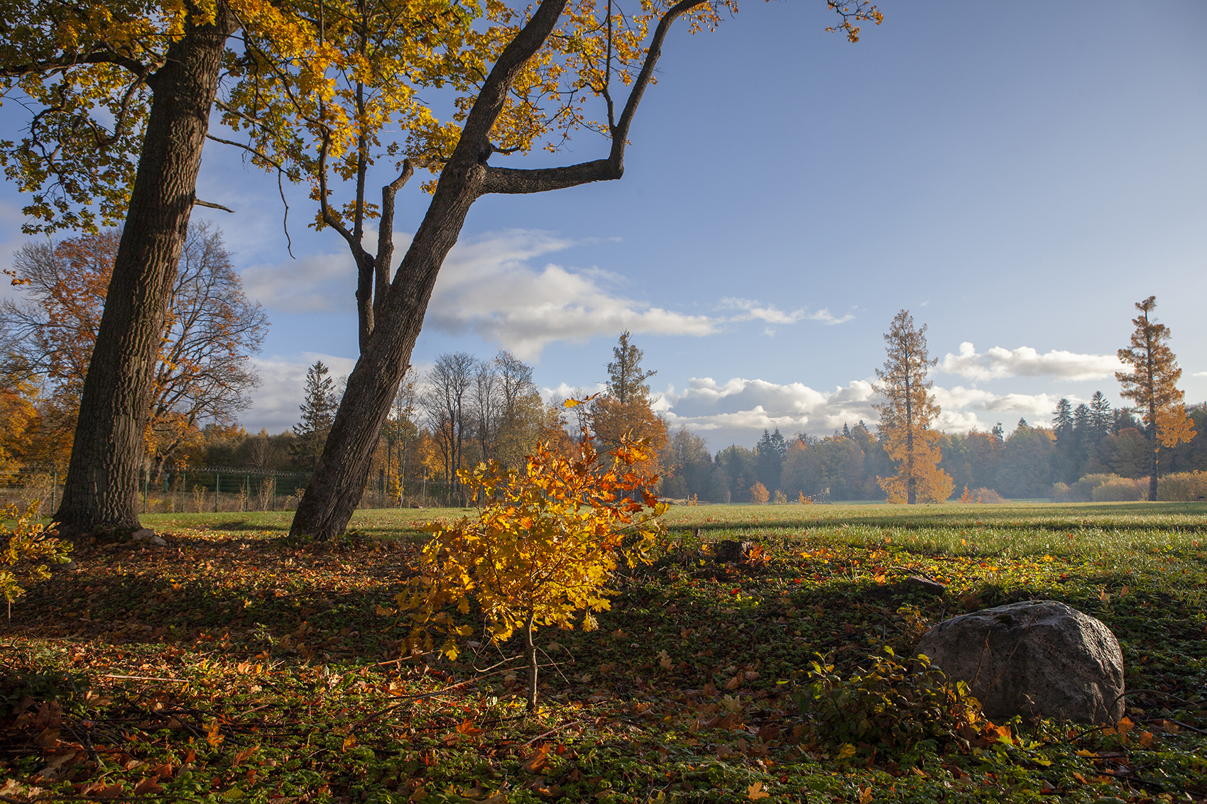 , Aleksandr Mihailov