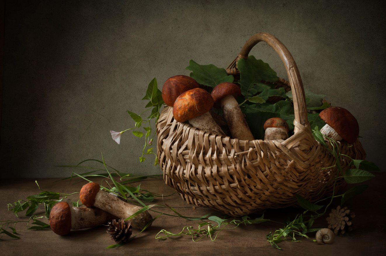 грибы, лето, подосиновики, лес, Колеснева Елена