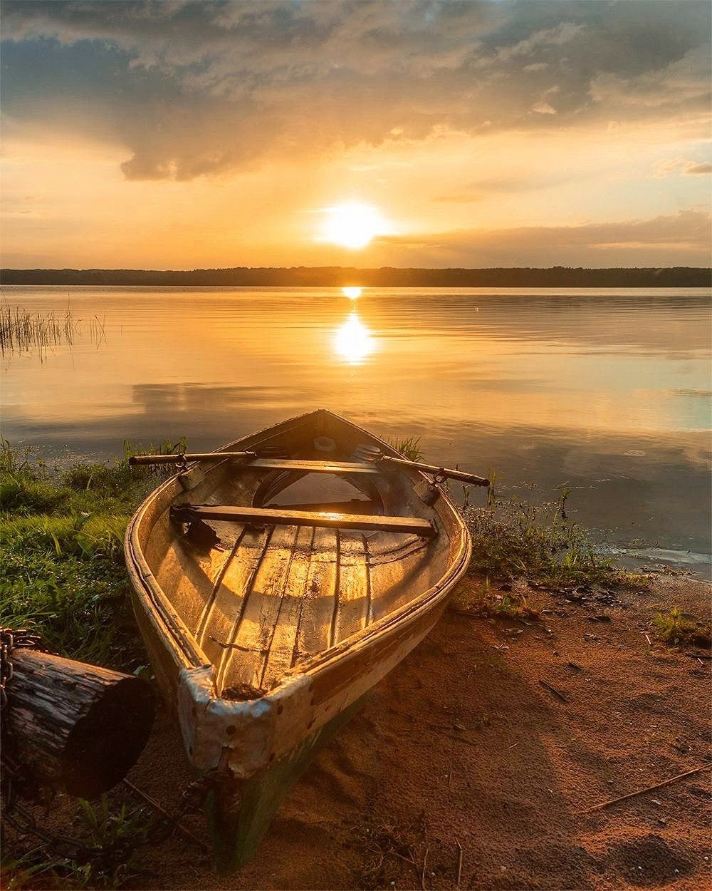 , Петр Косых