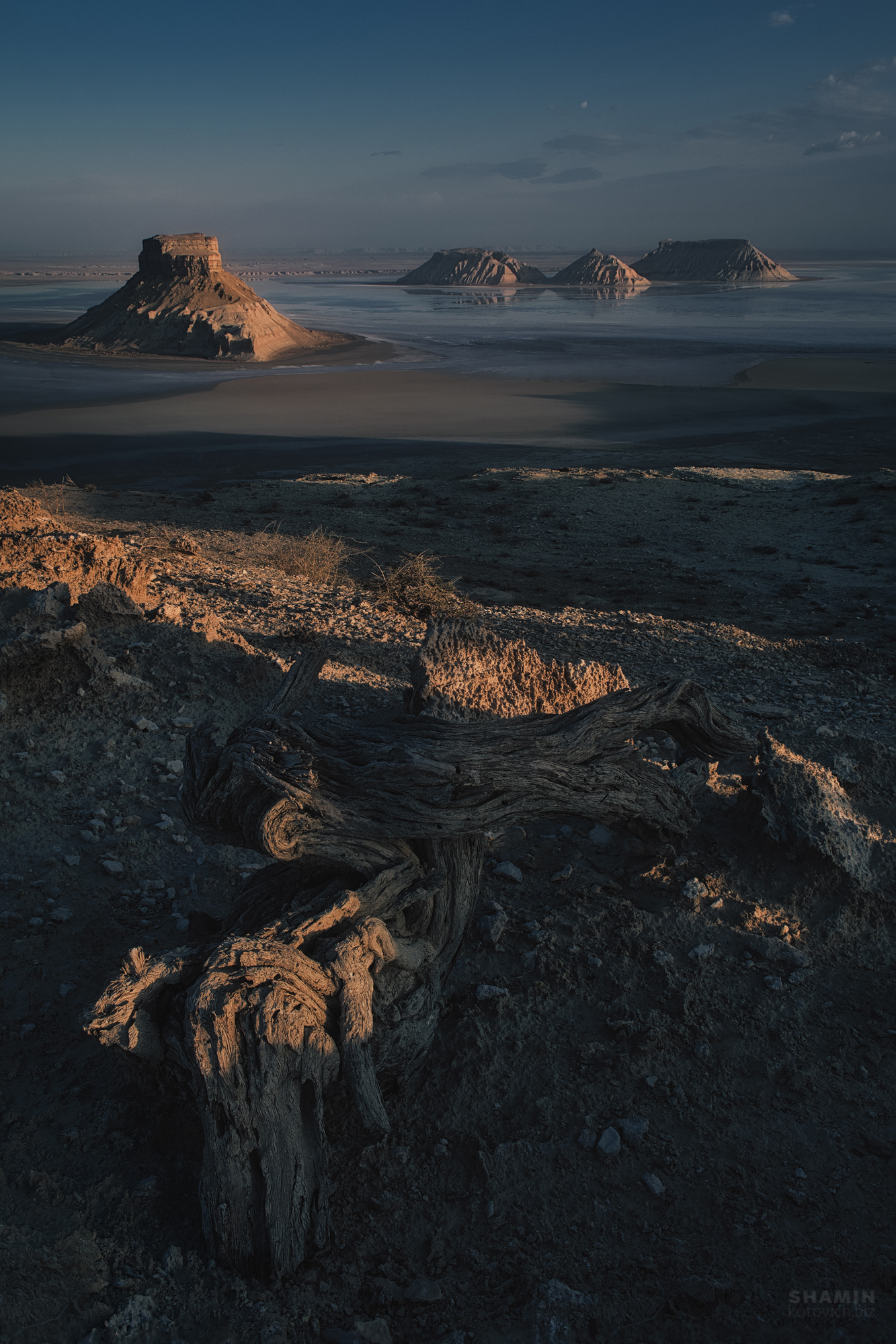 , Константин Шамин