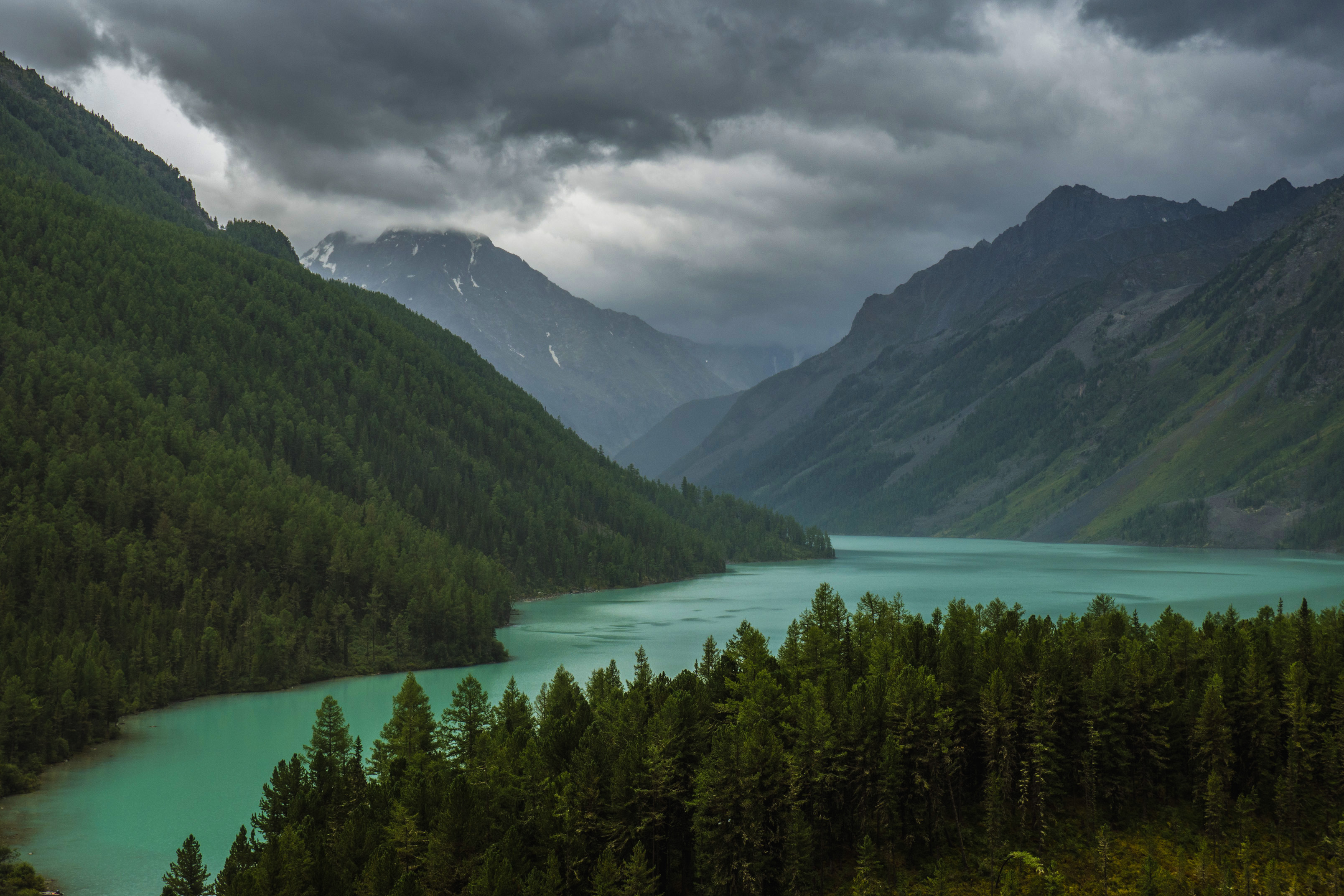 алтай, кучерла, Станислав