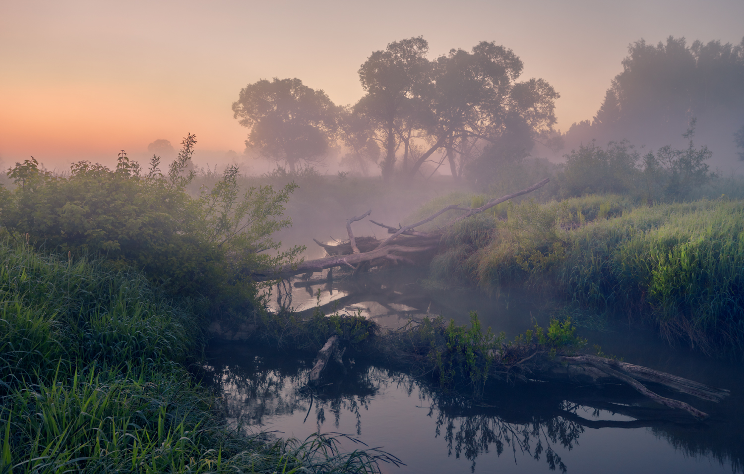 , Роман Лушпа