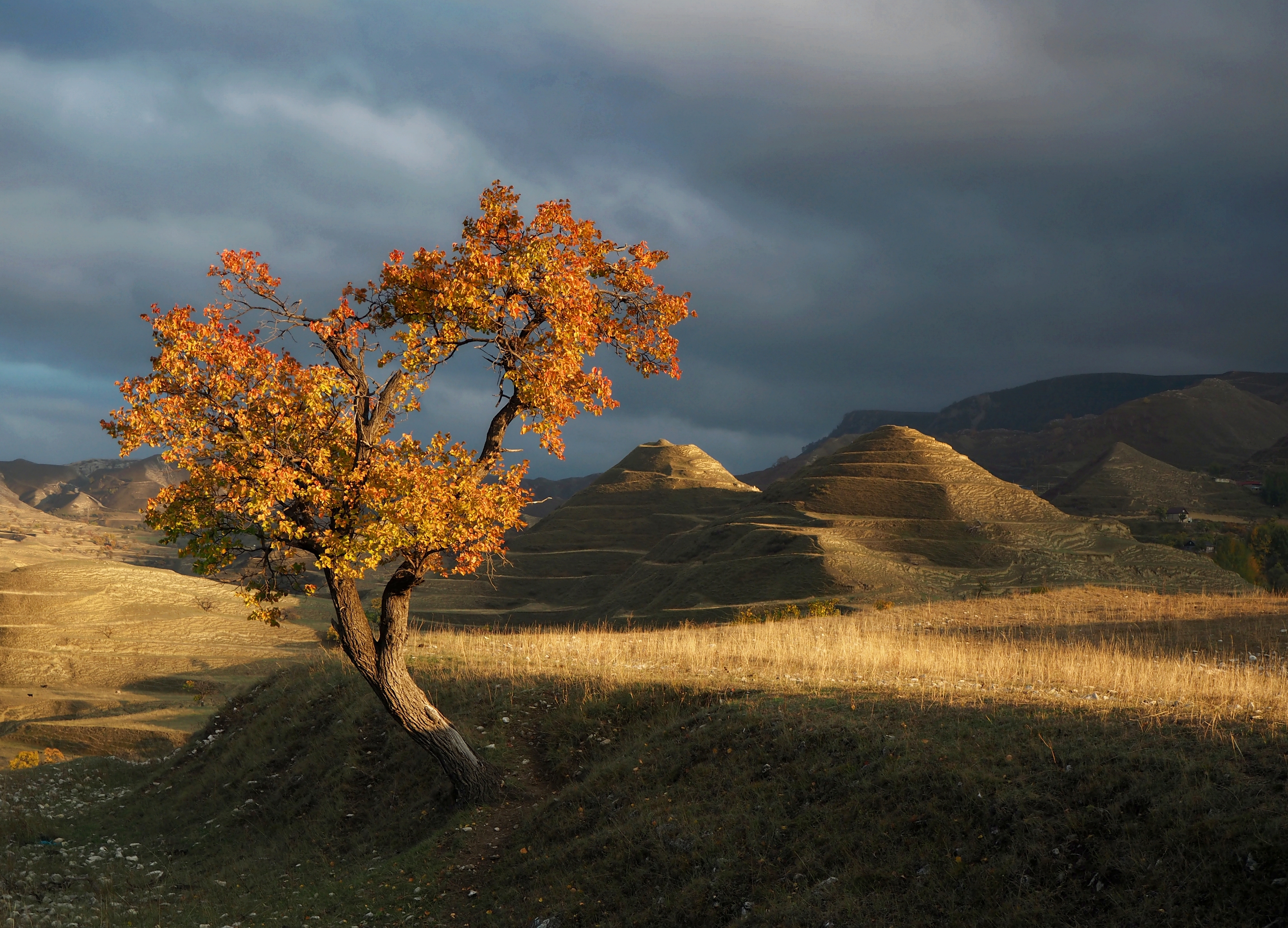 , Яковлев Евгений
