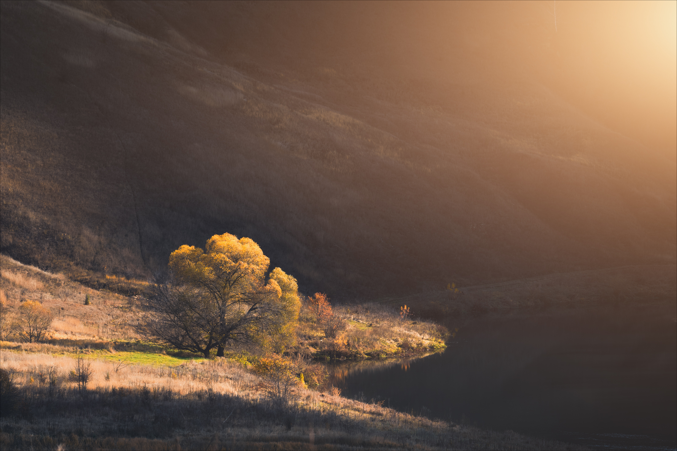 , Богорянов Алексей