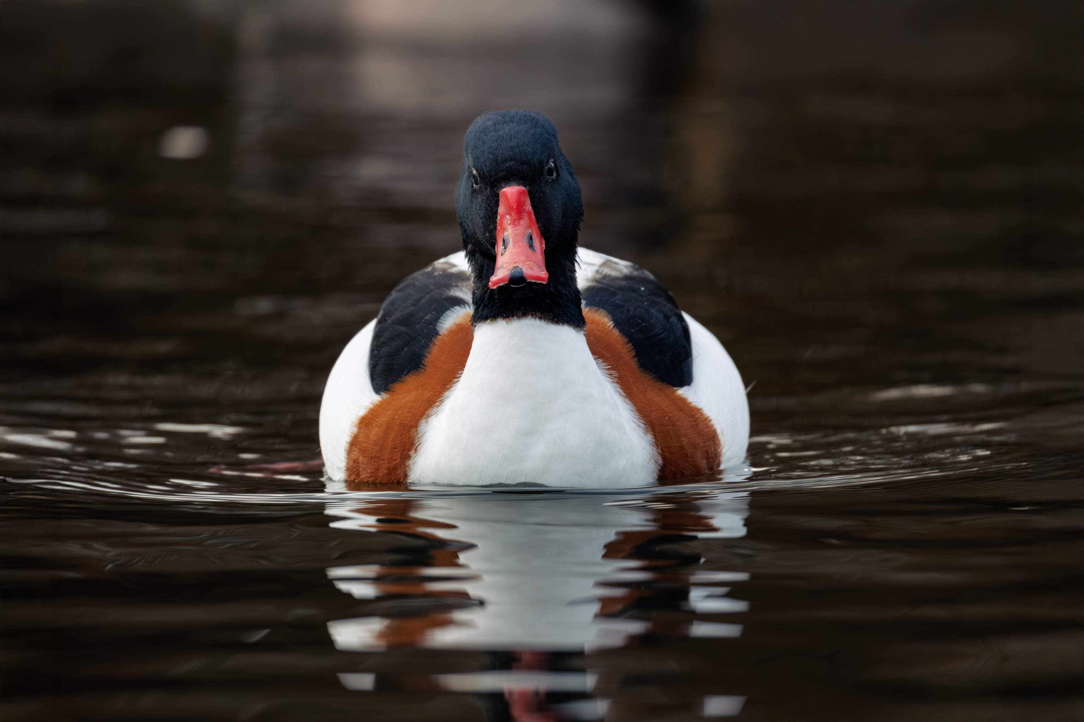 , ssmirs Сергей