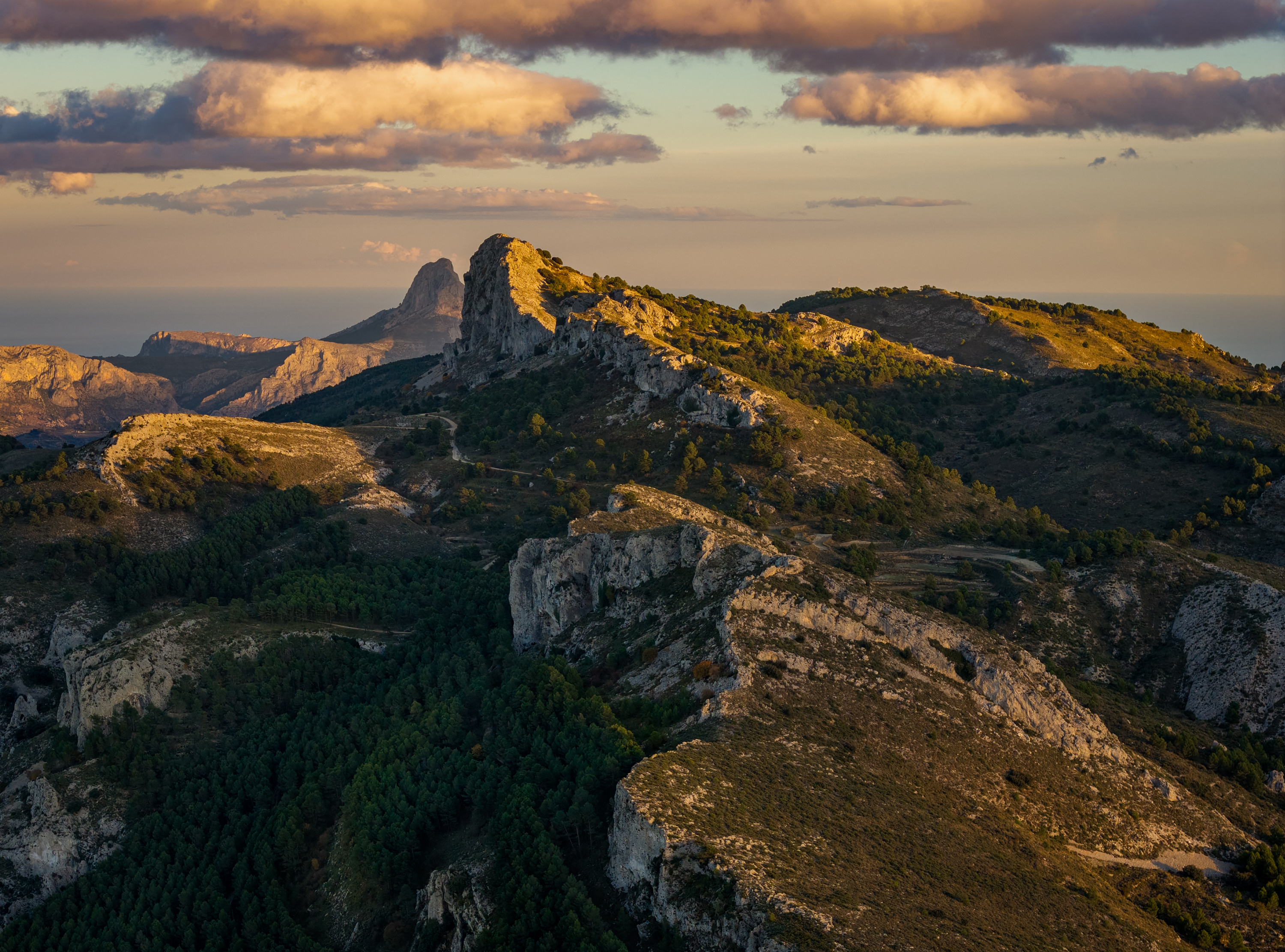 , Алекс Римский