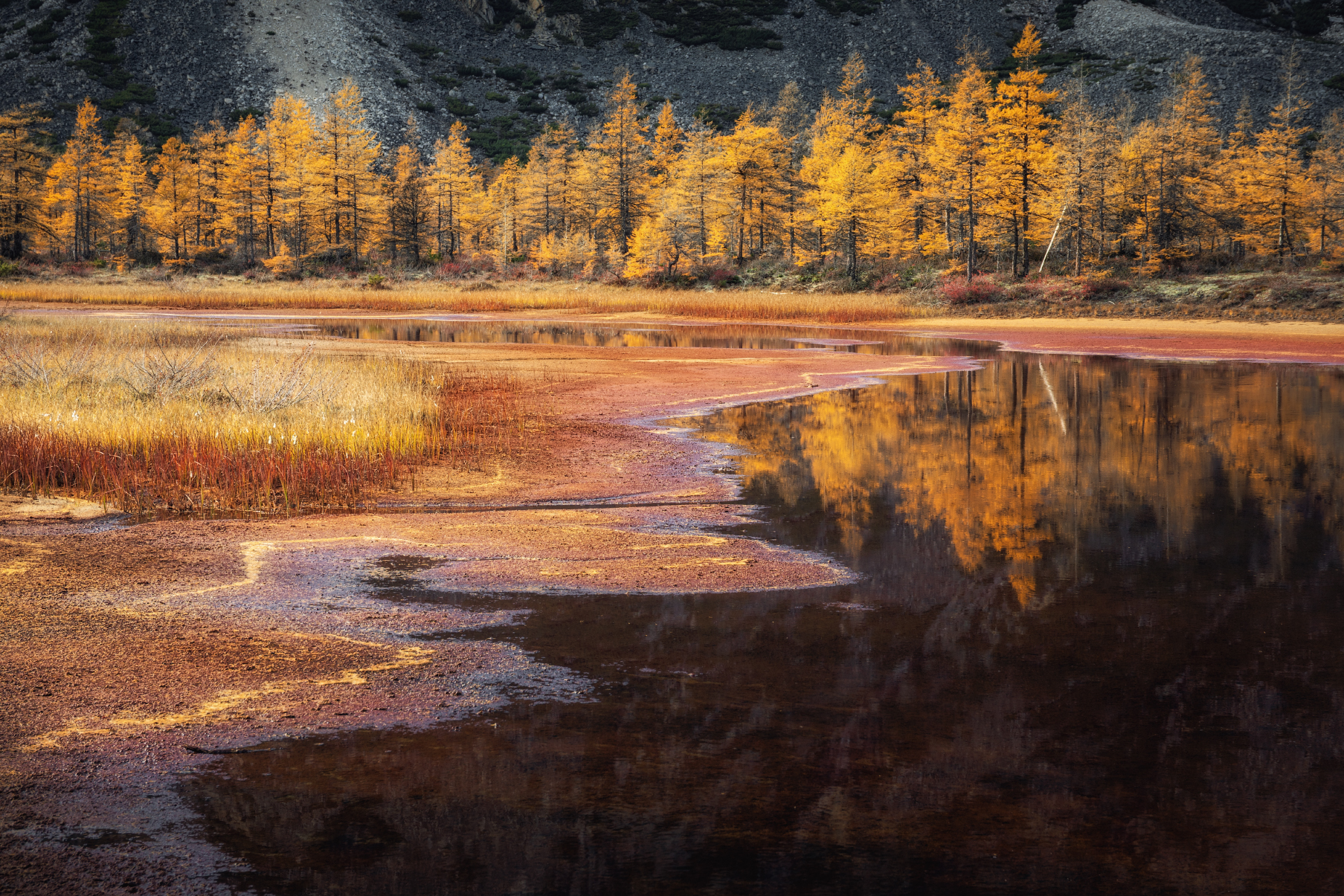 Озеро_Юг пейзажи_Колымы Магаданская_область Колымские_пляжи горная_система_Черского отражения хребет_Оханджа, Дмитрий Шишкин