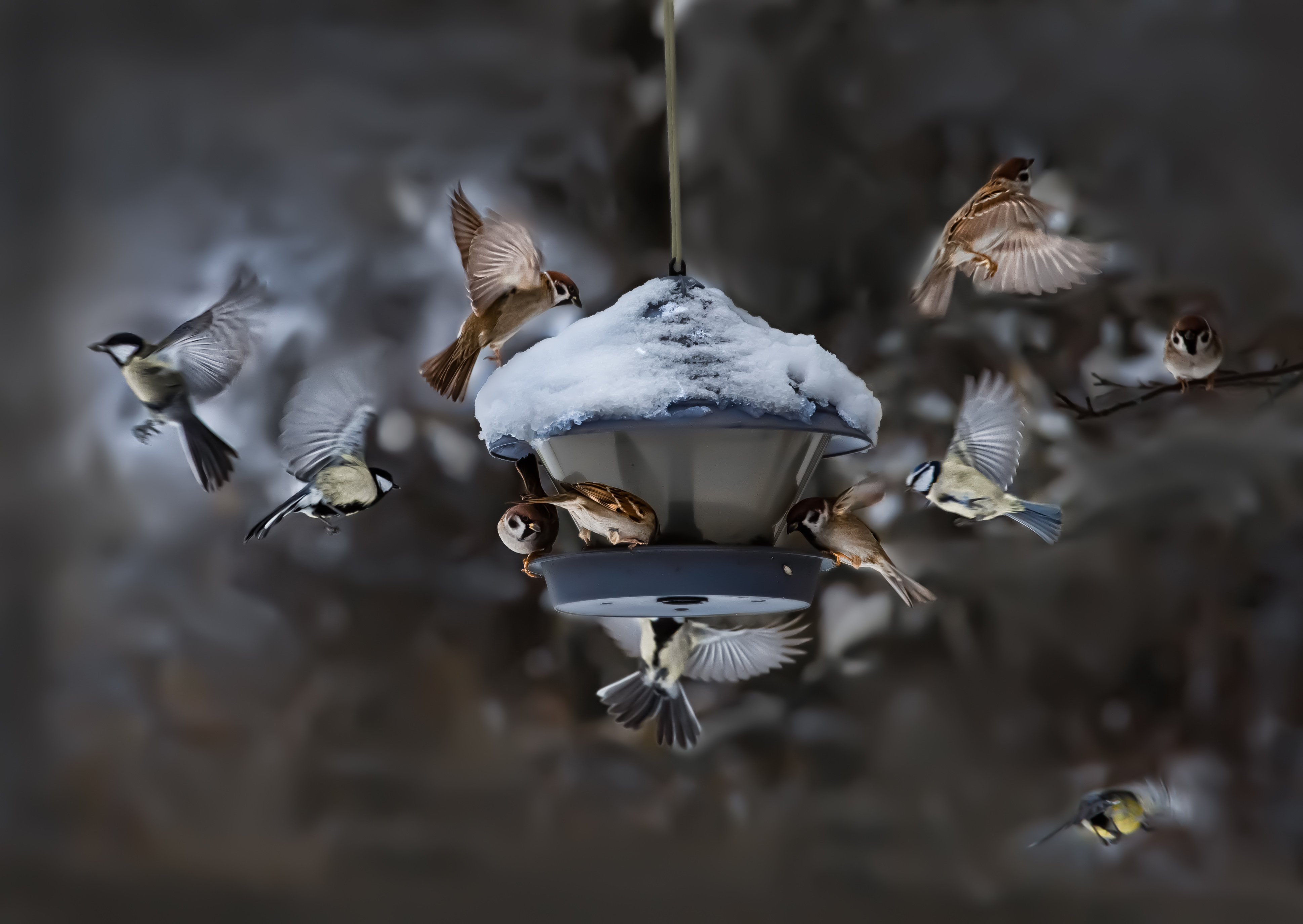 , Валентин Черновол