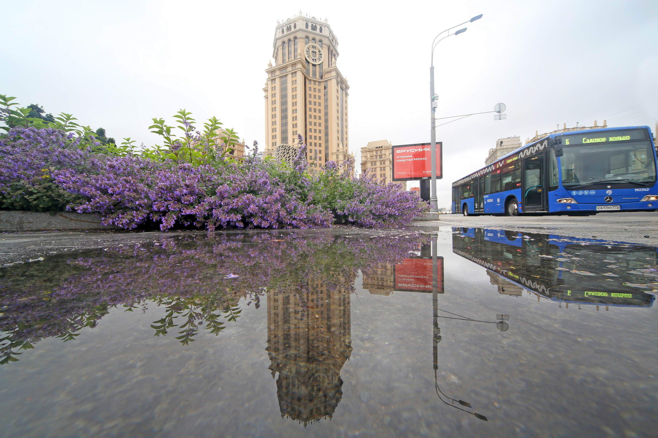 , Бибичков Михаил